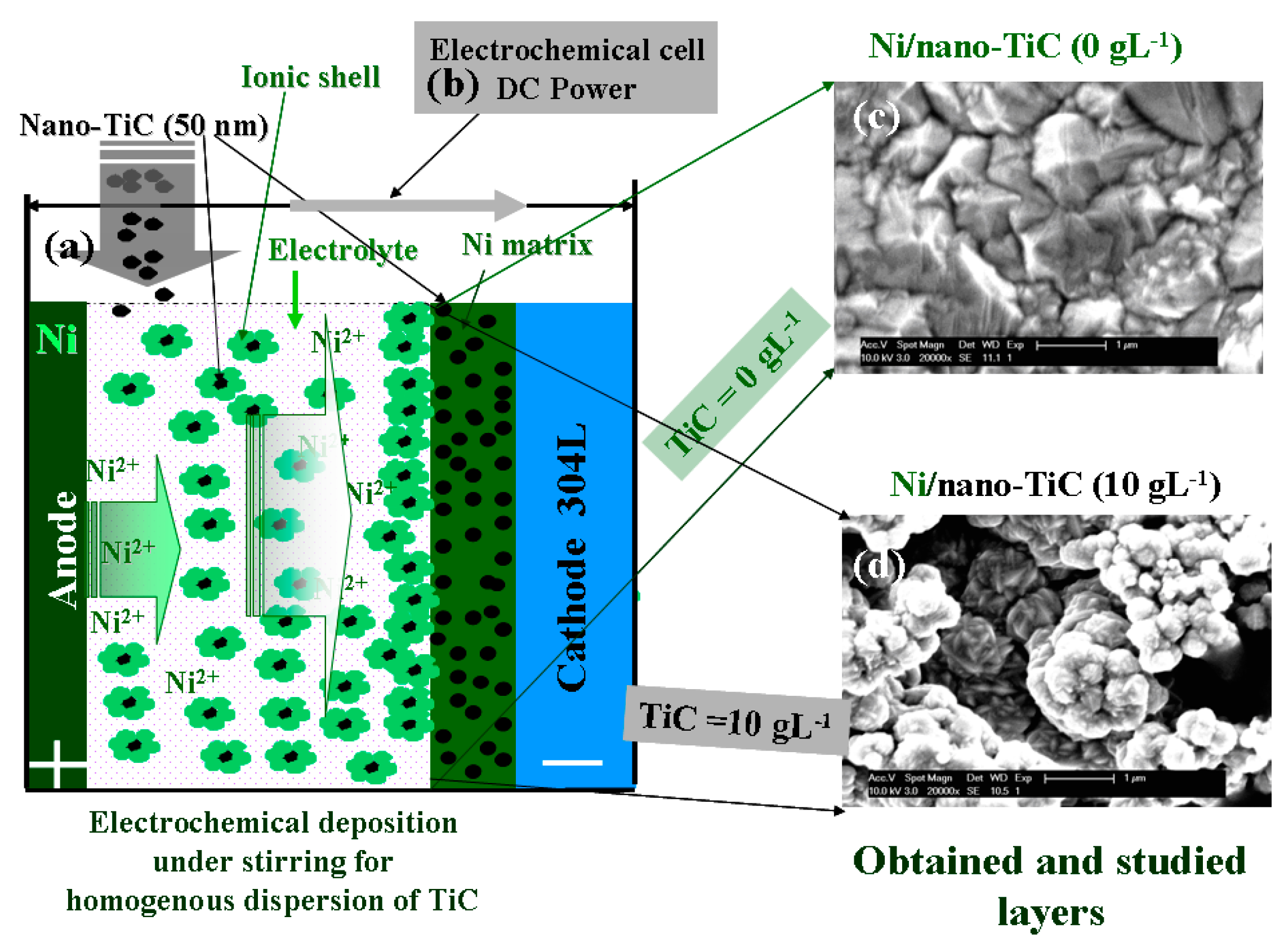 Ijms 23 06069 g010 550