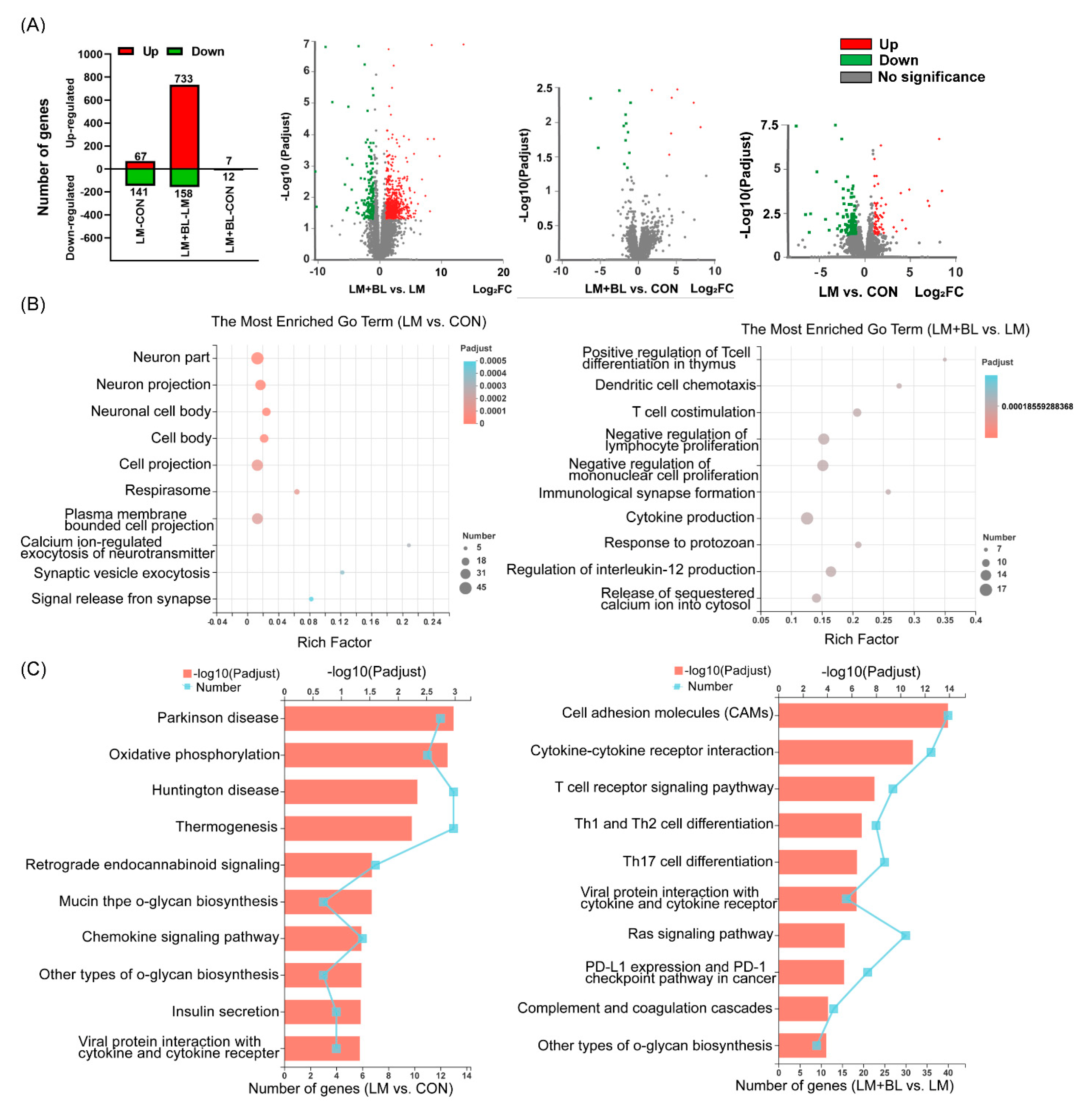 Ijms 23 06072 g003 Ijms 23 06072 g003