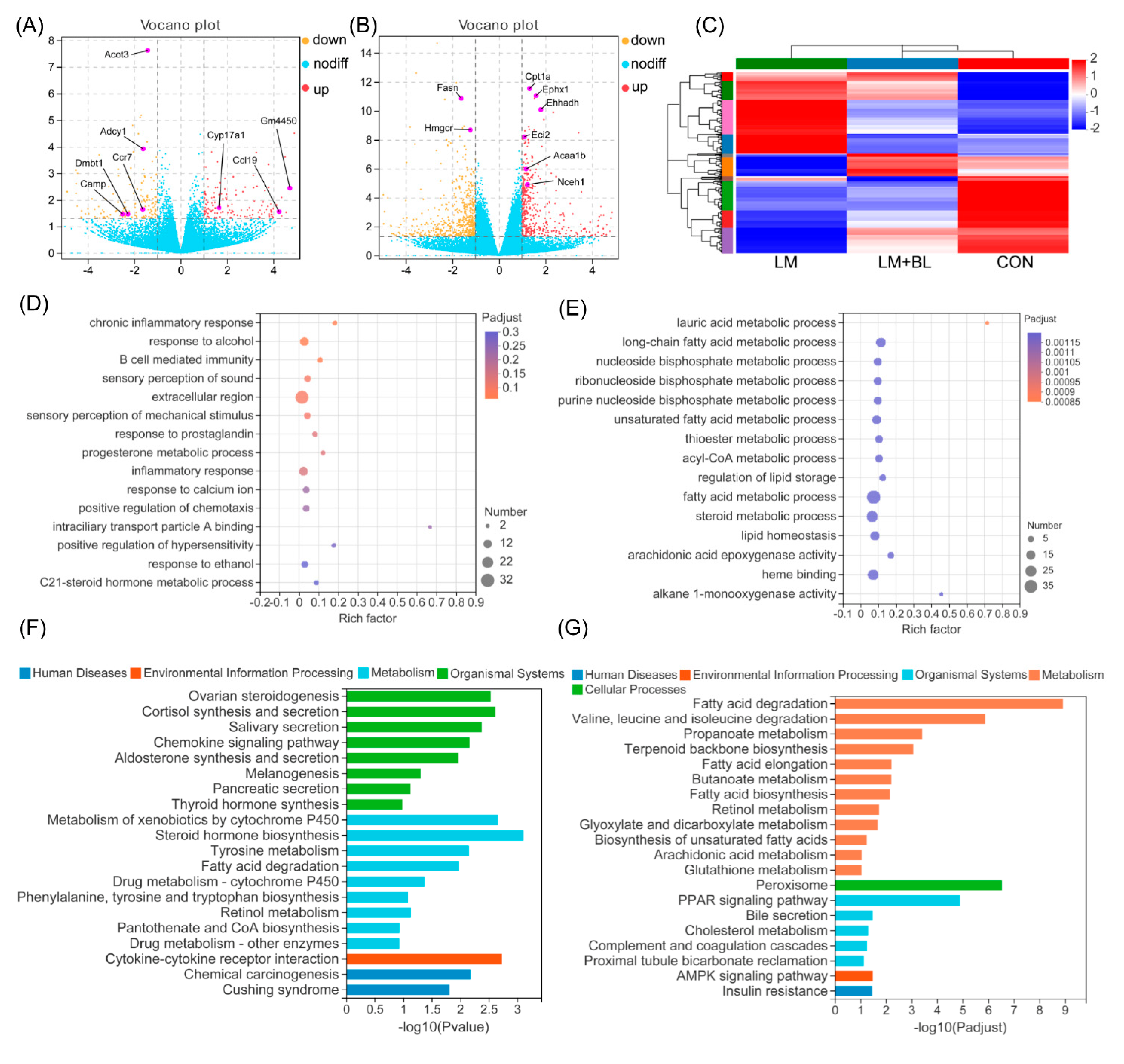 Ijms 23 06072 g004 Ijms 23 06072 g004