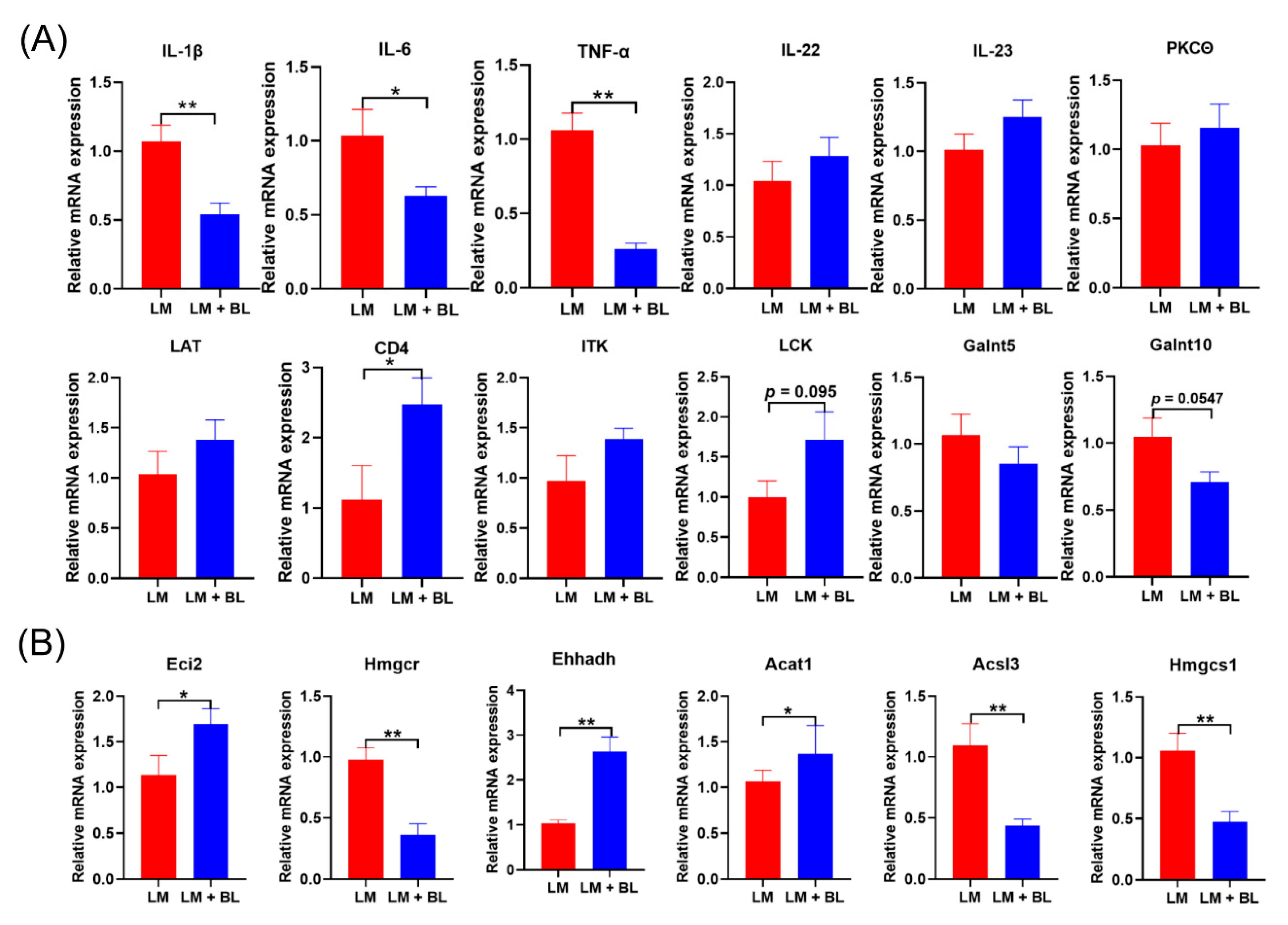 Ijms 23 06072 g005 Ijms 23 06072 g005