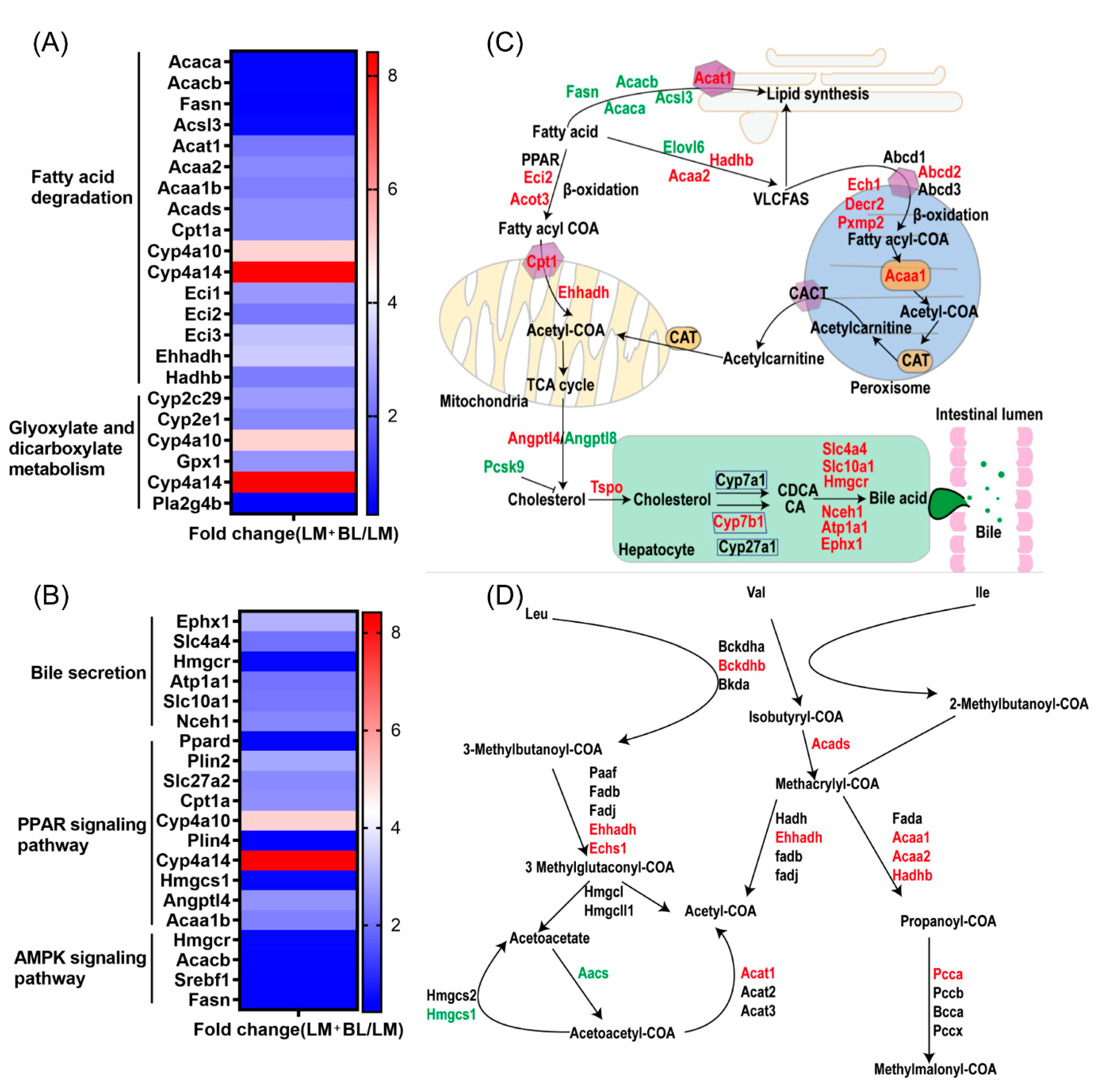 Ijms 23 06072 g008 Ijms 23 06072 g008