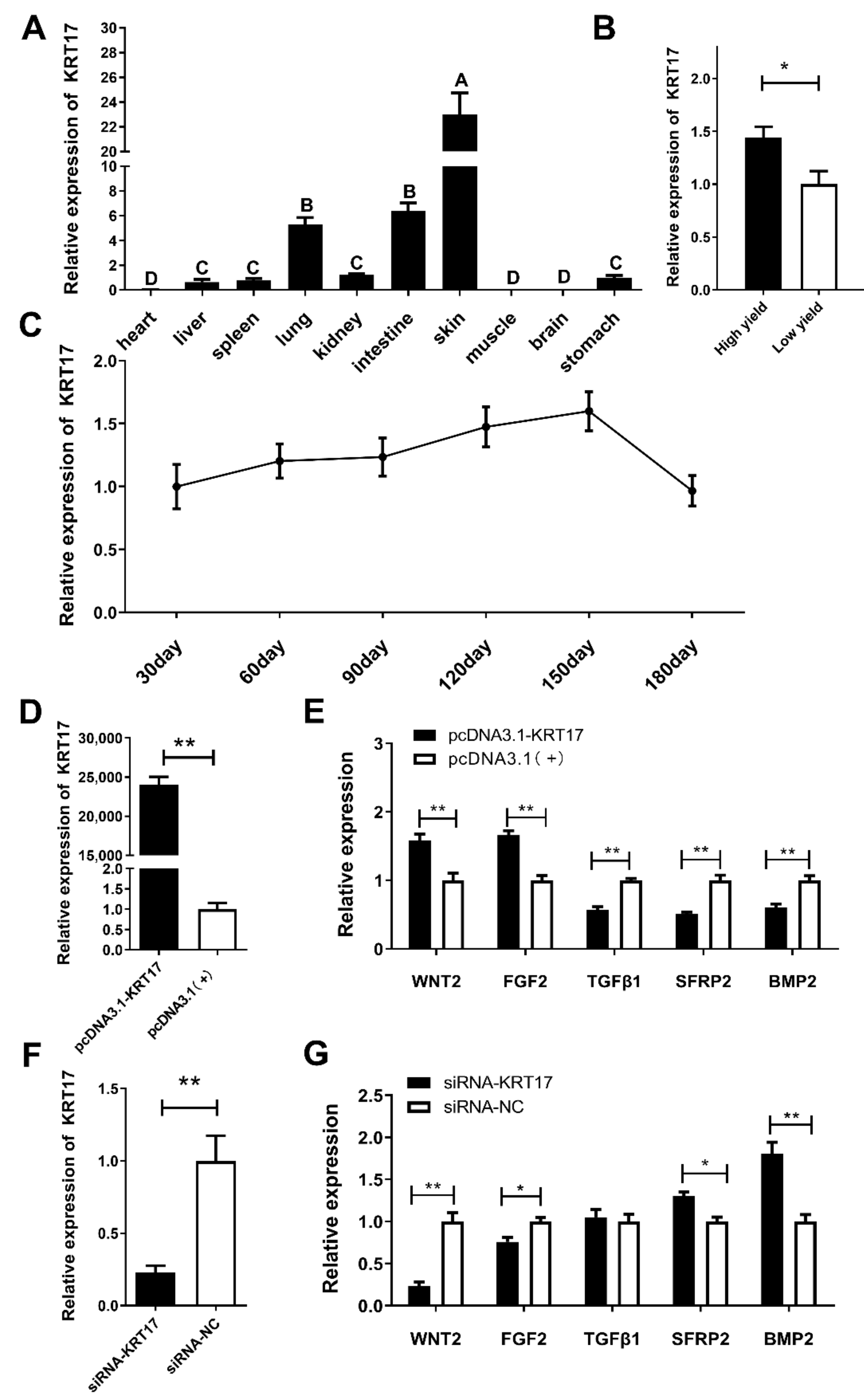 Ijms 23 06077 g005 550