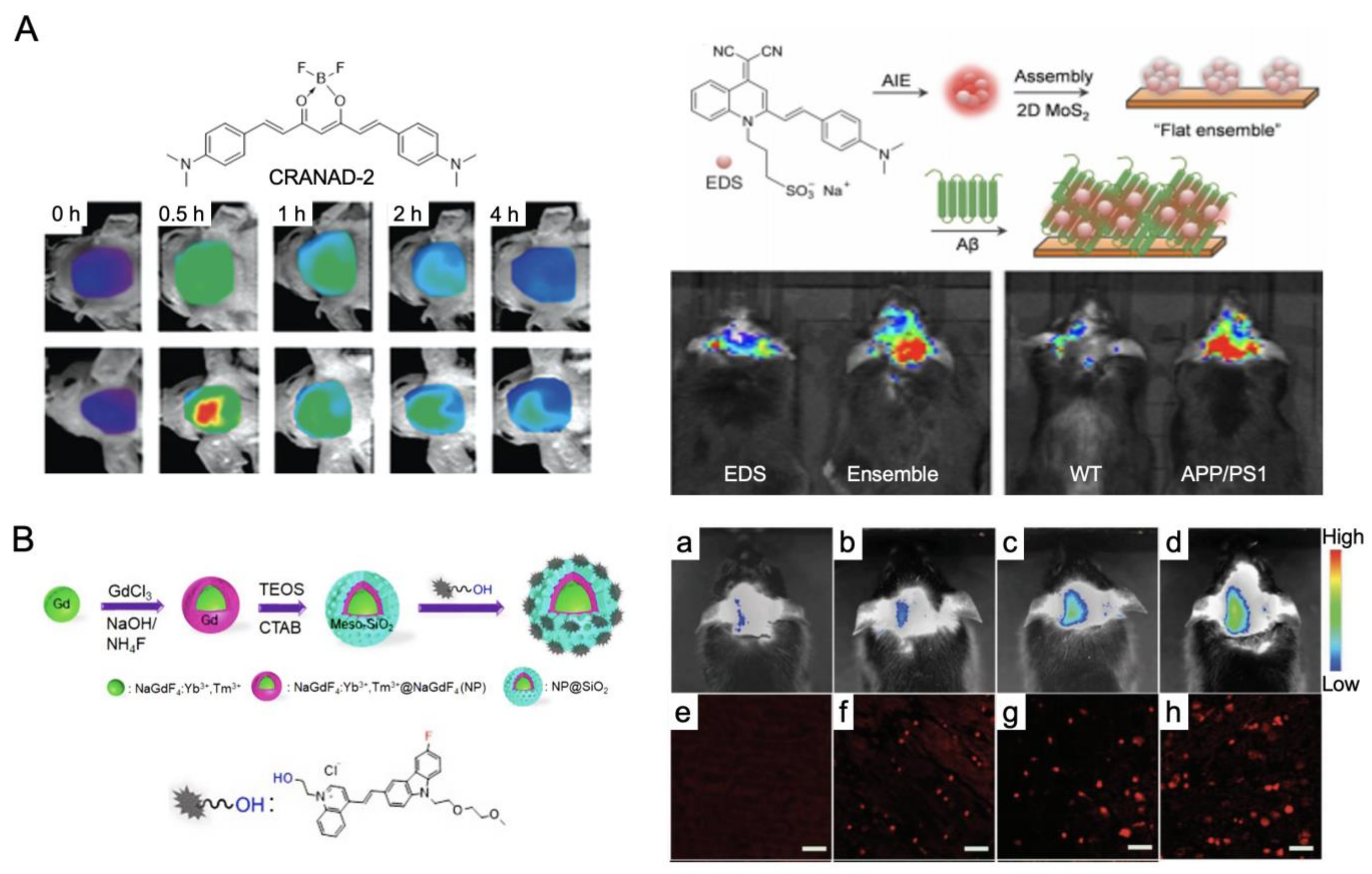 Ijms 23 06079 g008 550