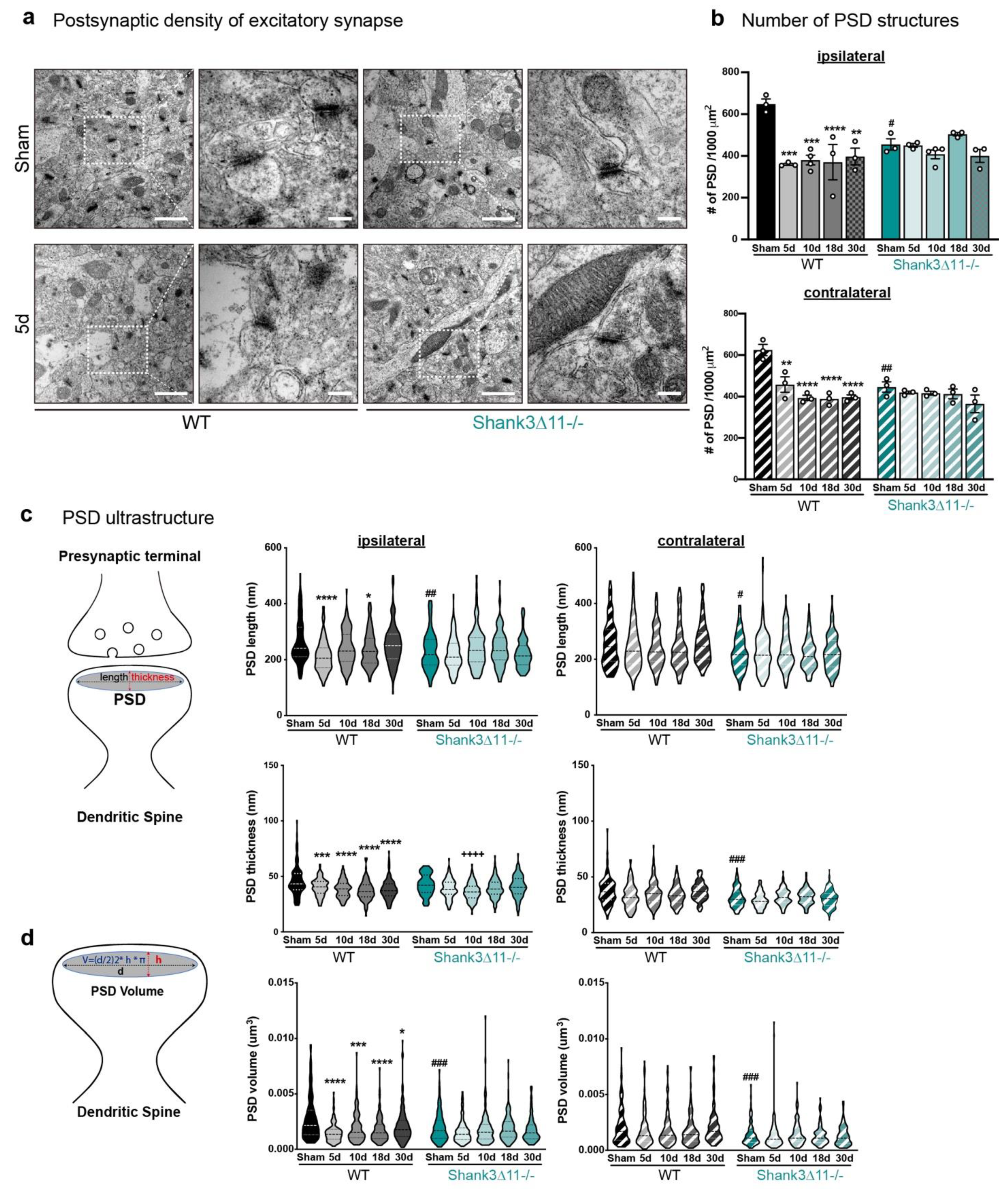 Ijms 23 06081 g002 550