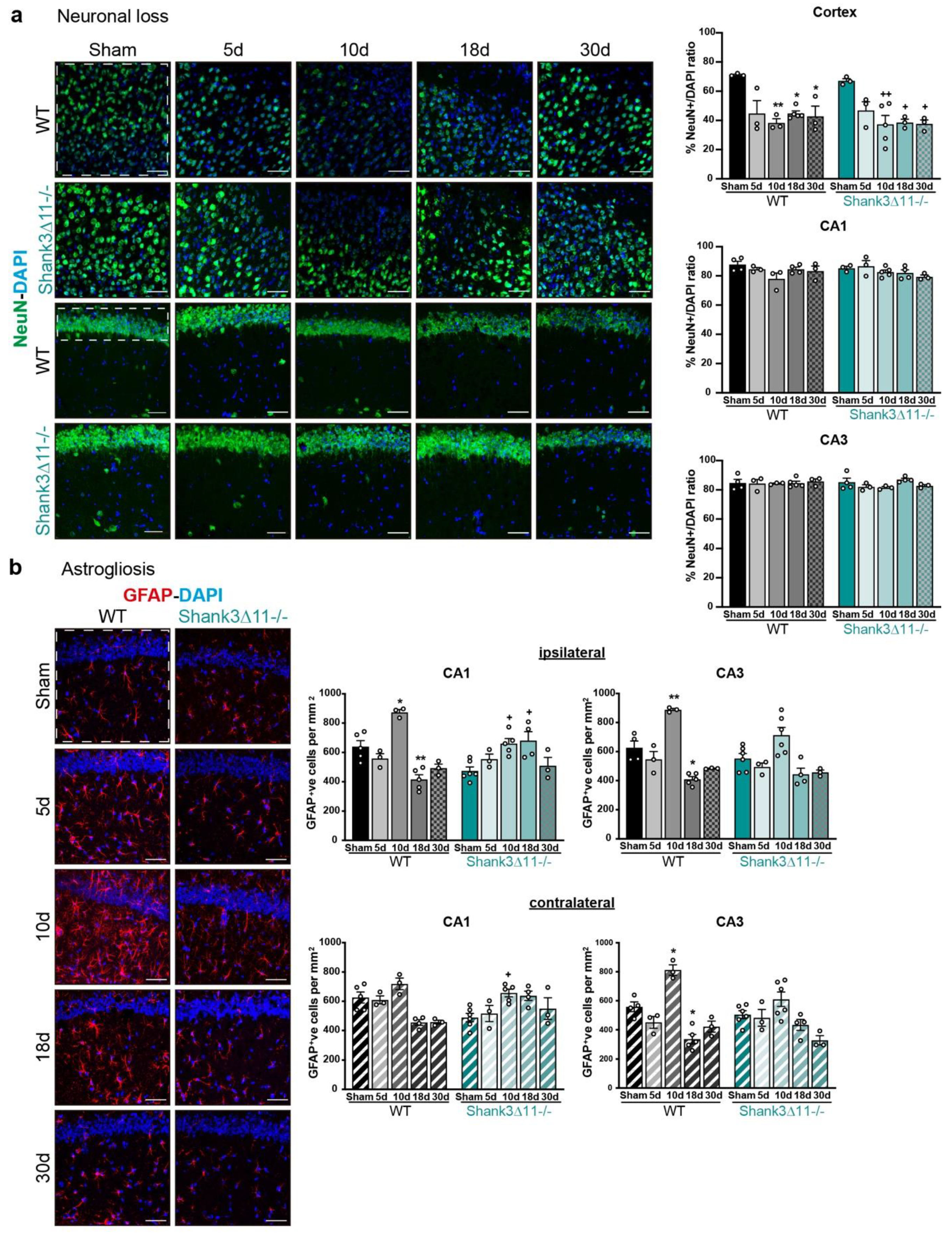 Ijms 23 06081 g003 550