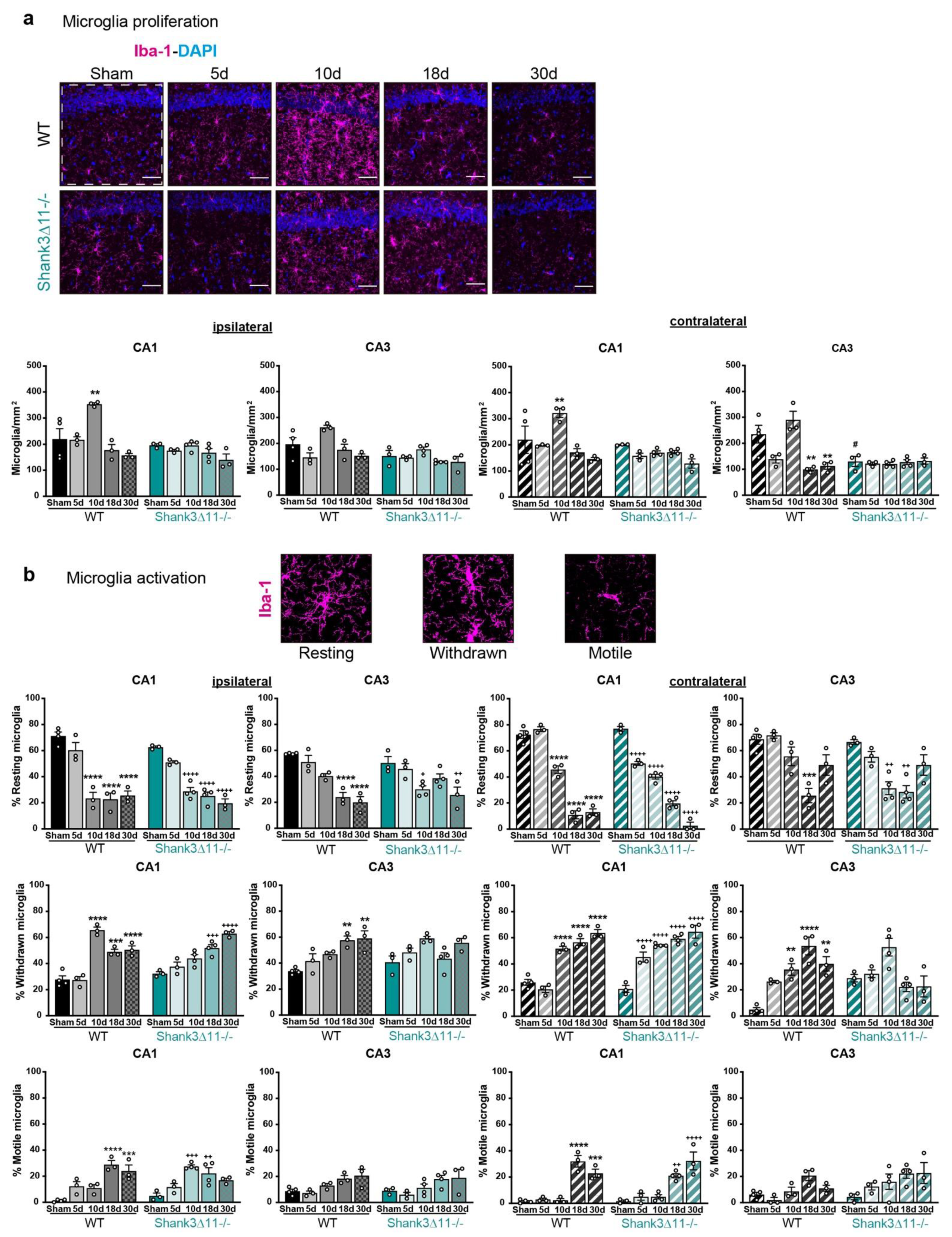 Ijms 23 06081 g004 550