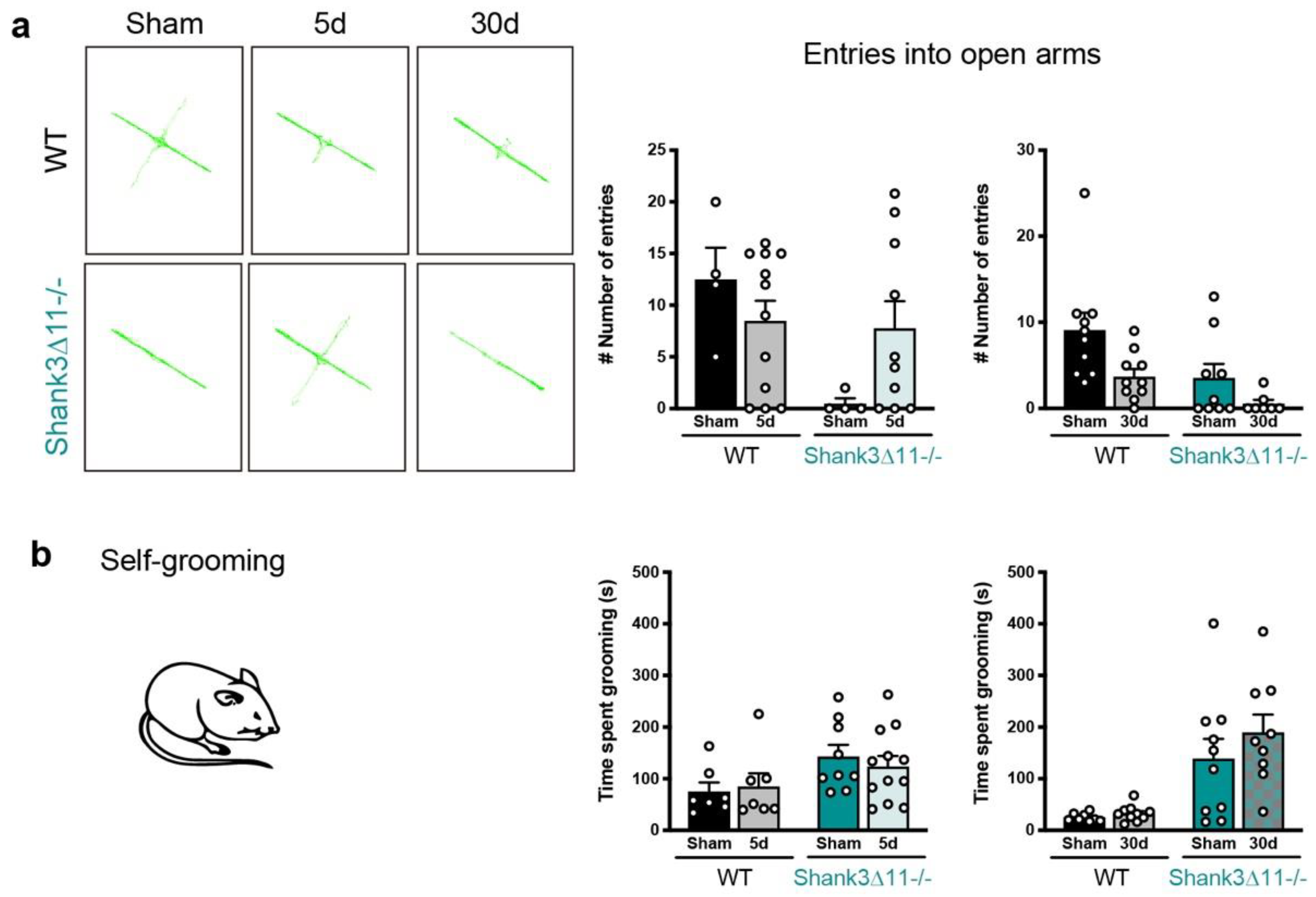 Ijms 23 06081 g006 550