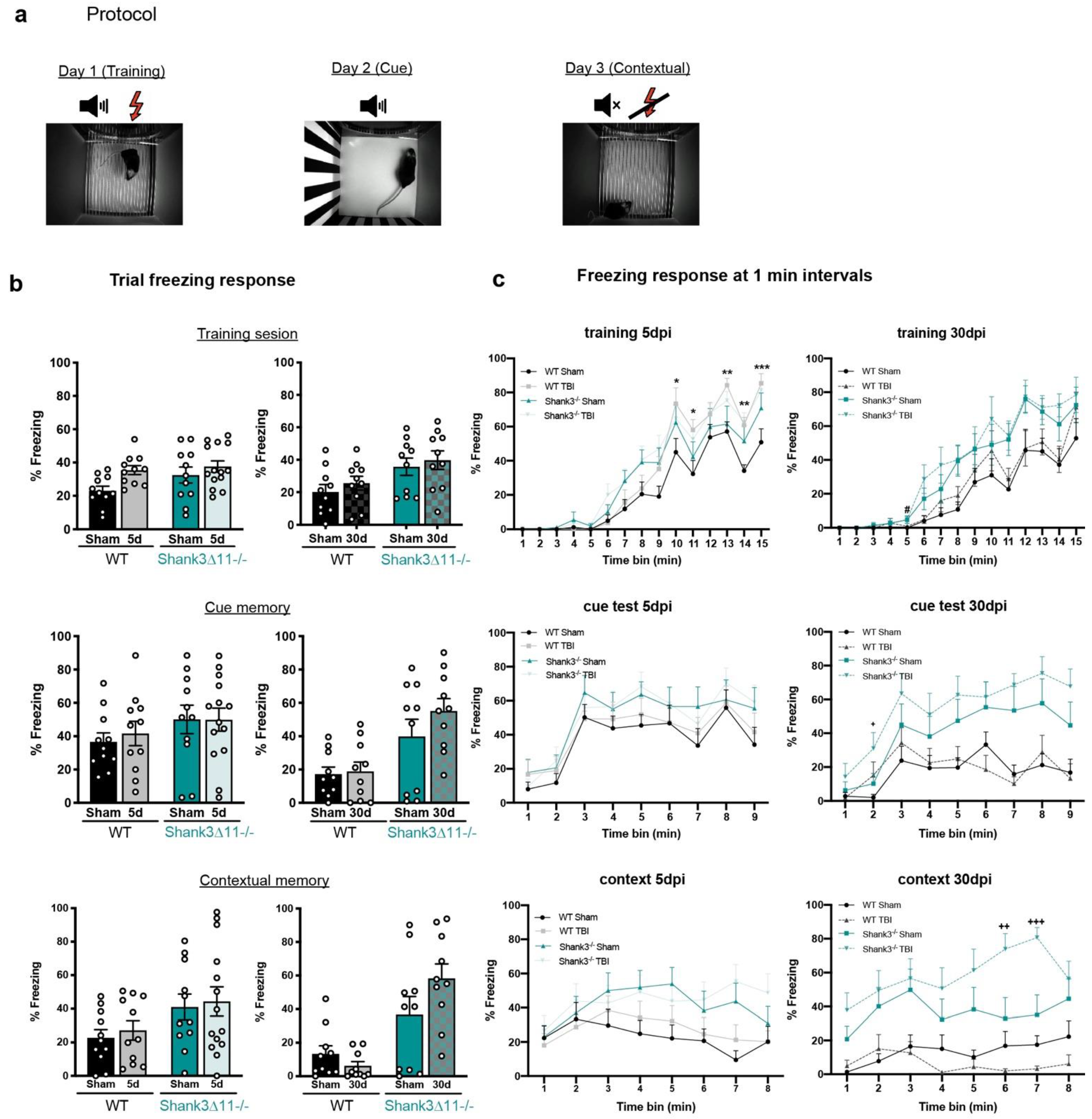 Ijms 23 06081 g007 550