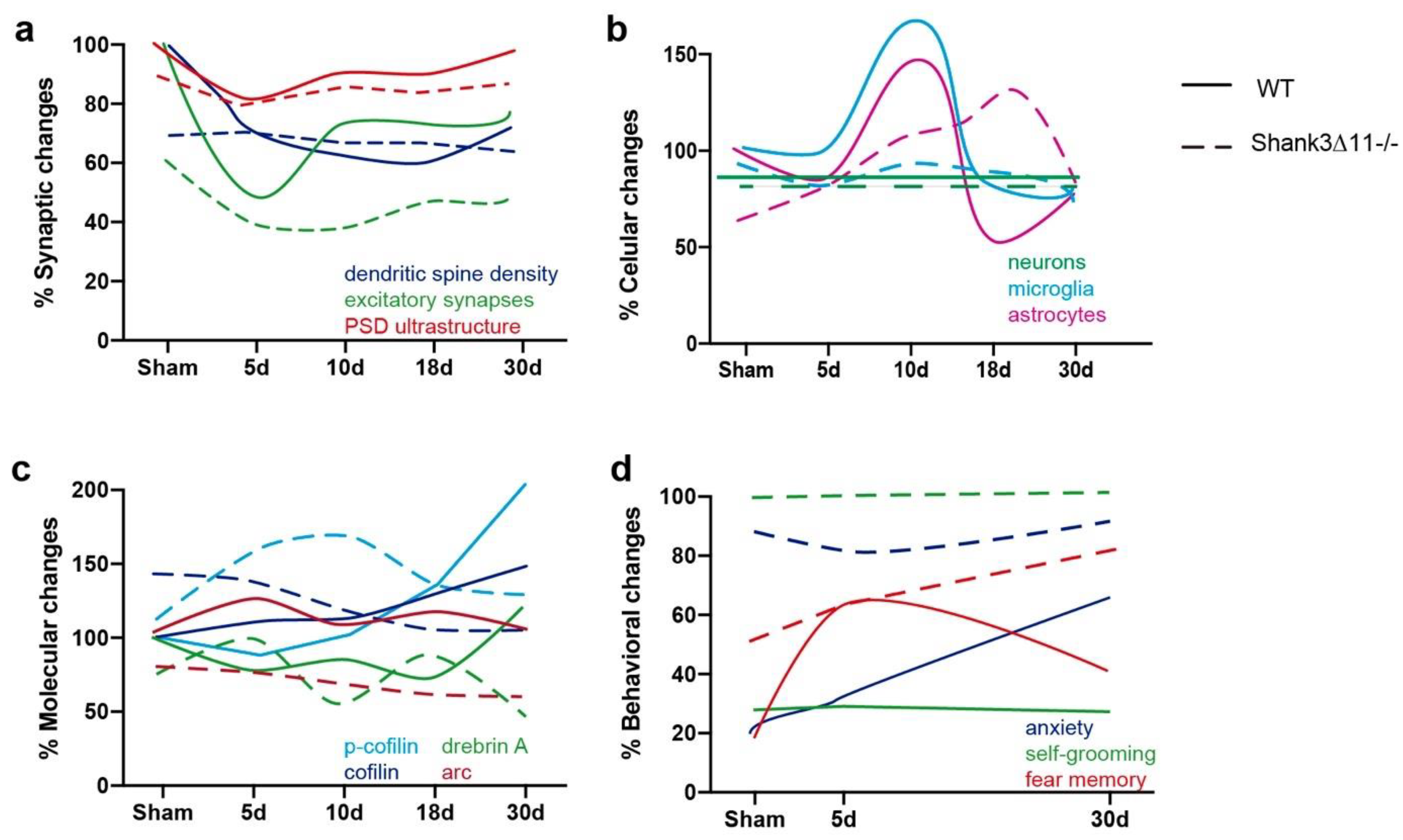 Ijms 23 06081 g008 550