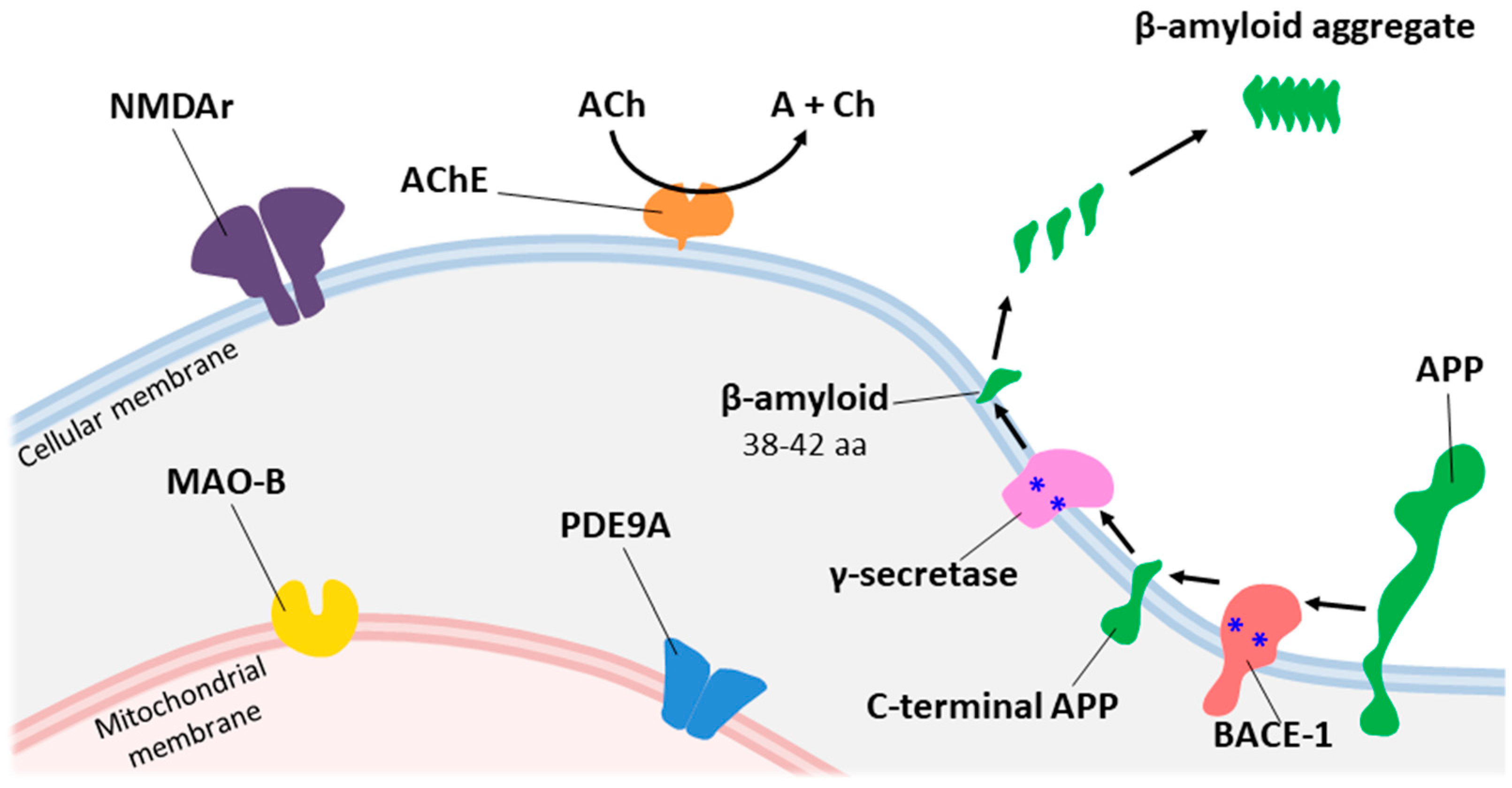 Ijms 23 06085 g002 550