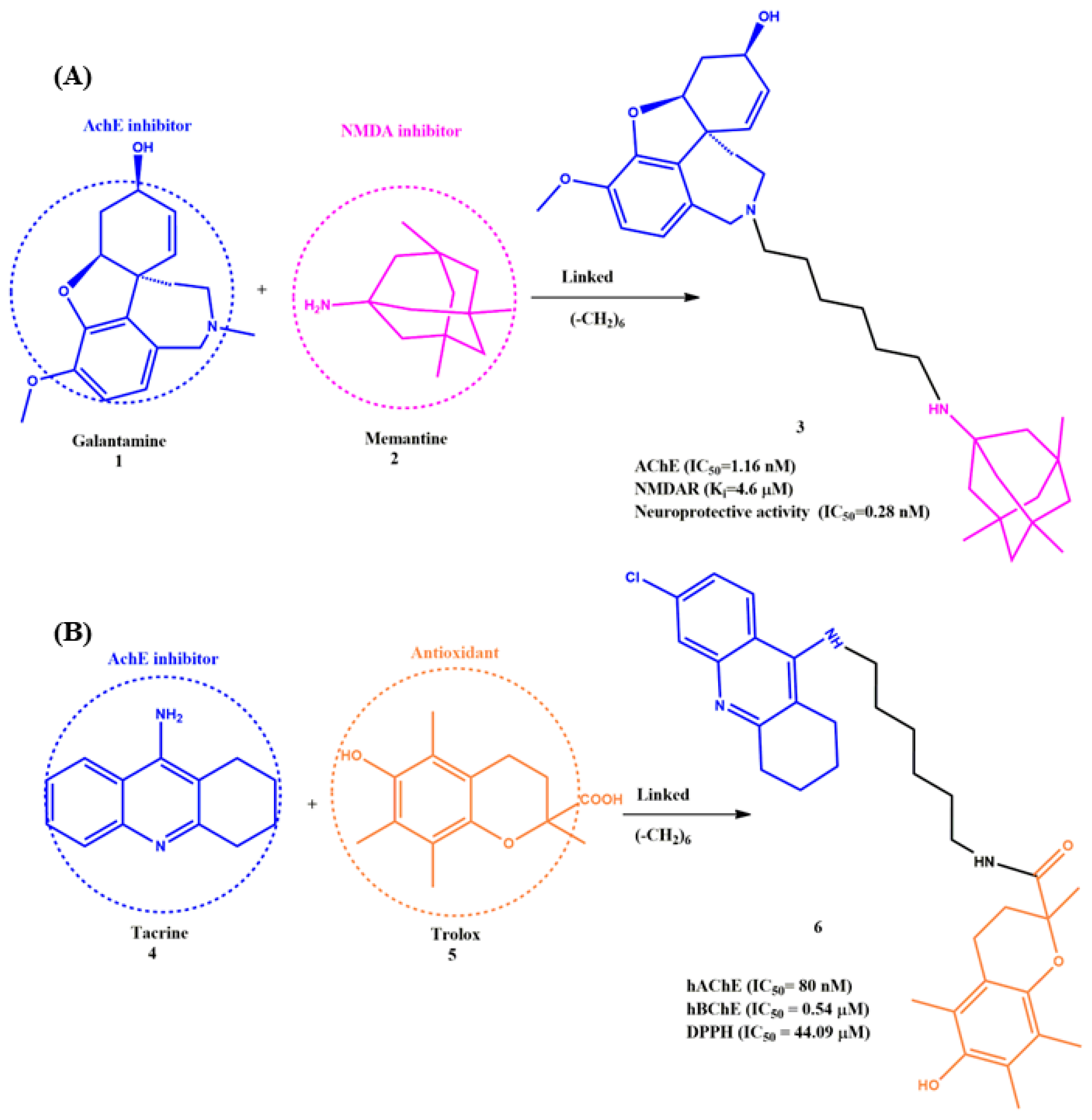 Ijms 23 06085 g004 550