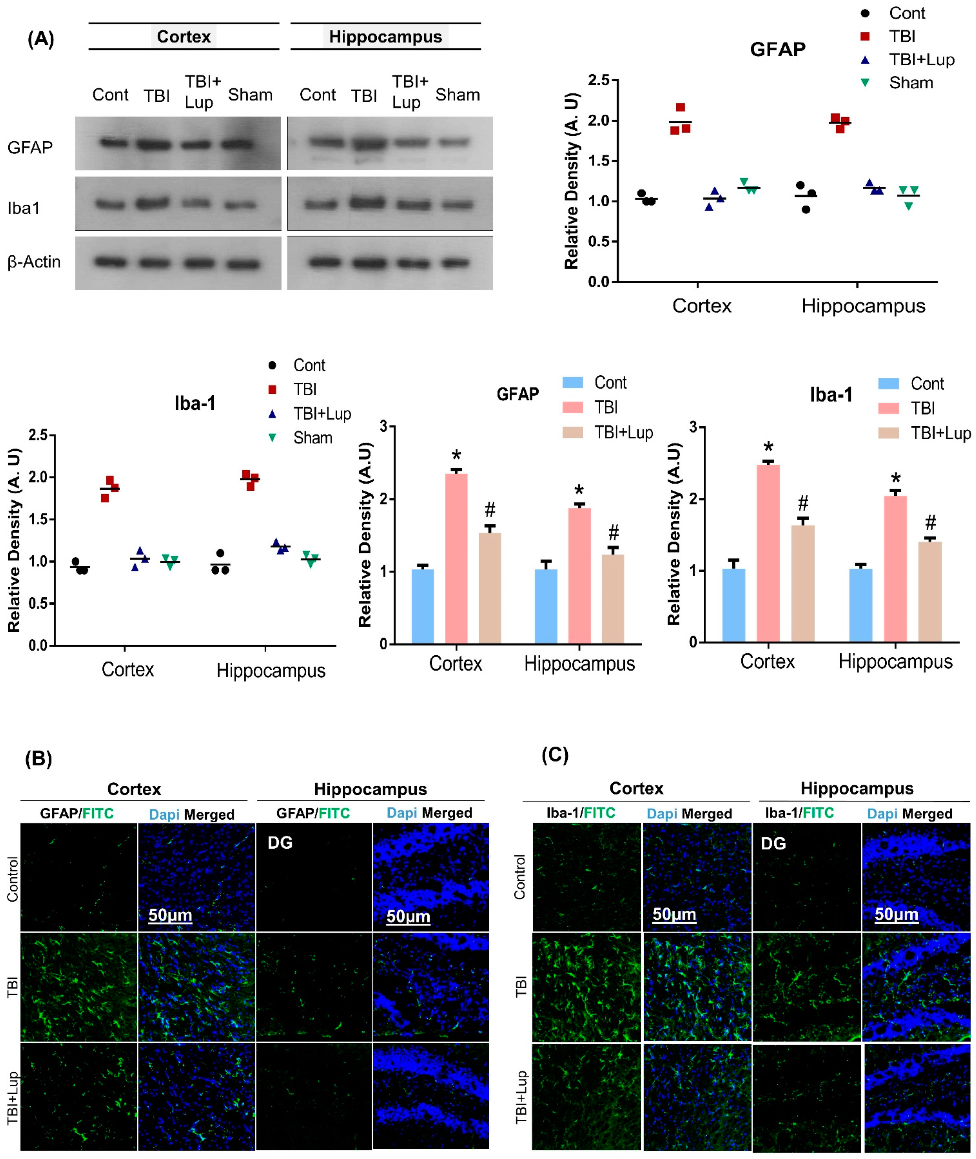 Ijms 23 06086 g001 Ijms 23 06086 g001