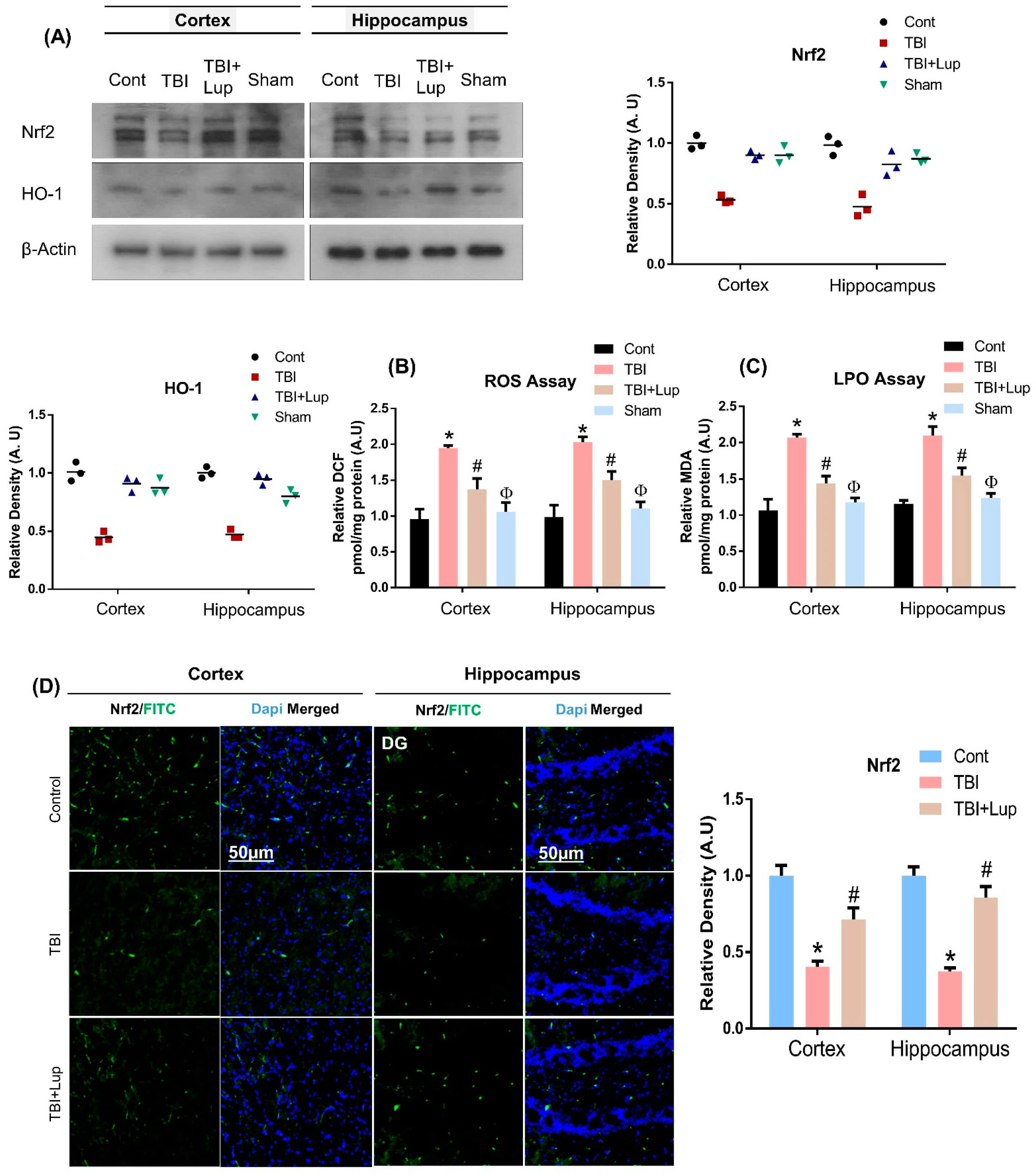 Ijms 23 06086 g002 Ijms 23 06086 g002
