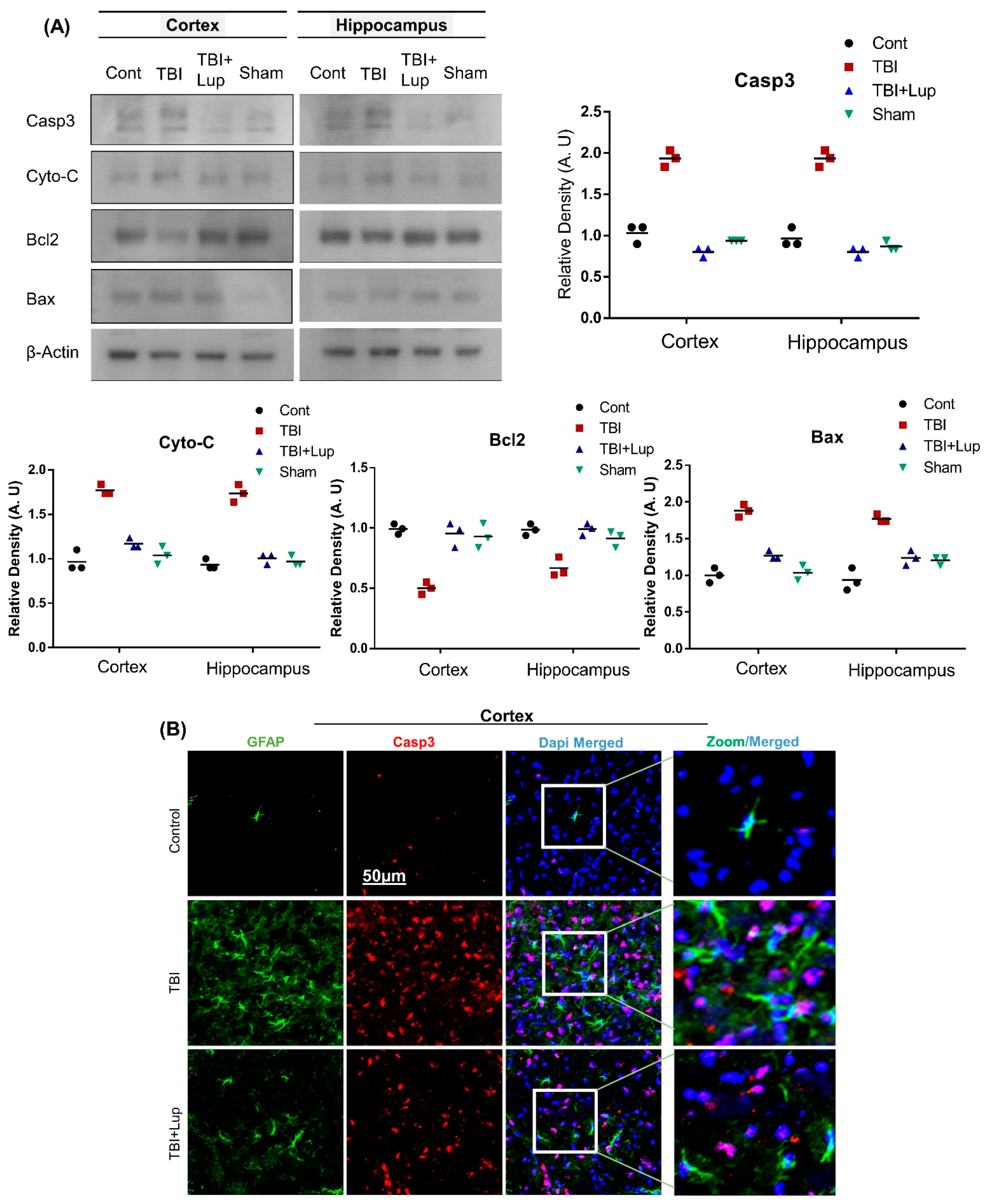 Ijms 23 06086 g004a Ijms 23 06086 g004a