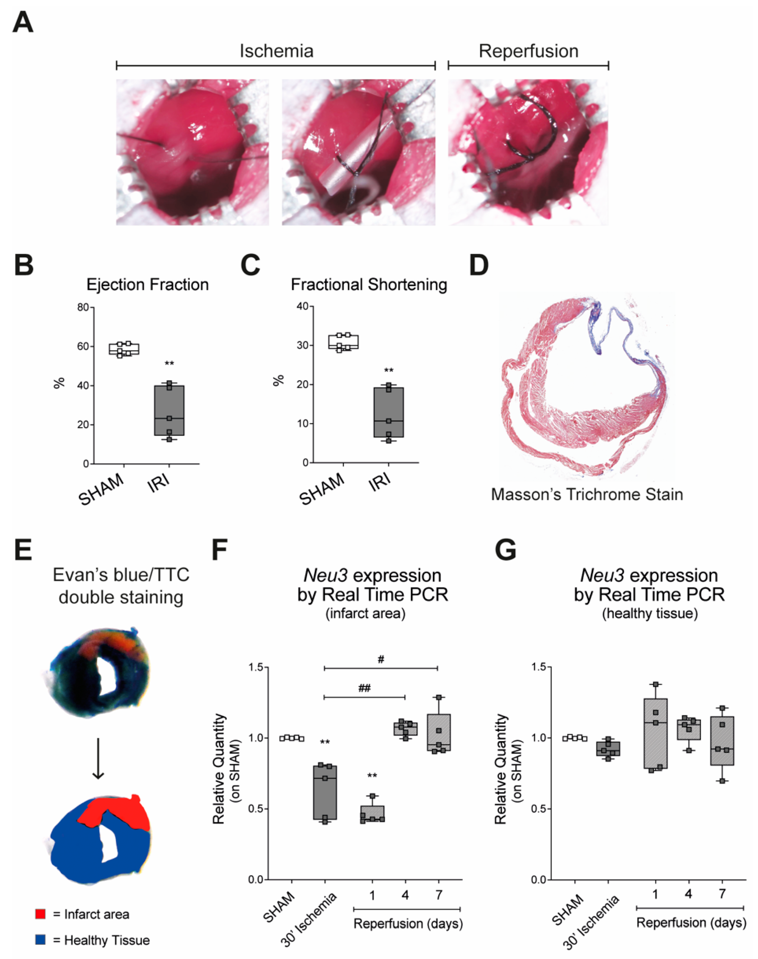 Ijms 23 06090 g001 550
