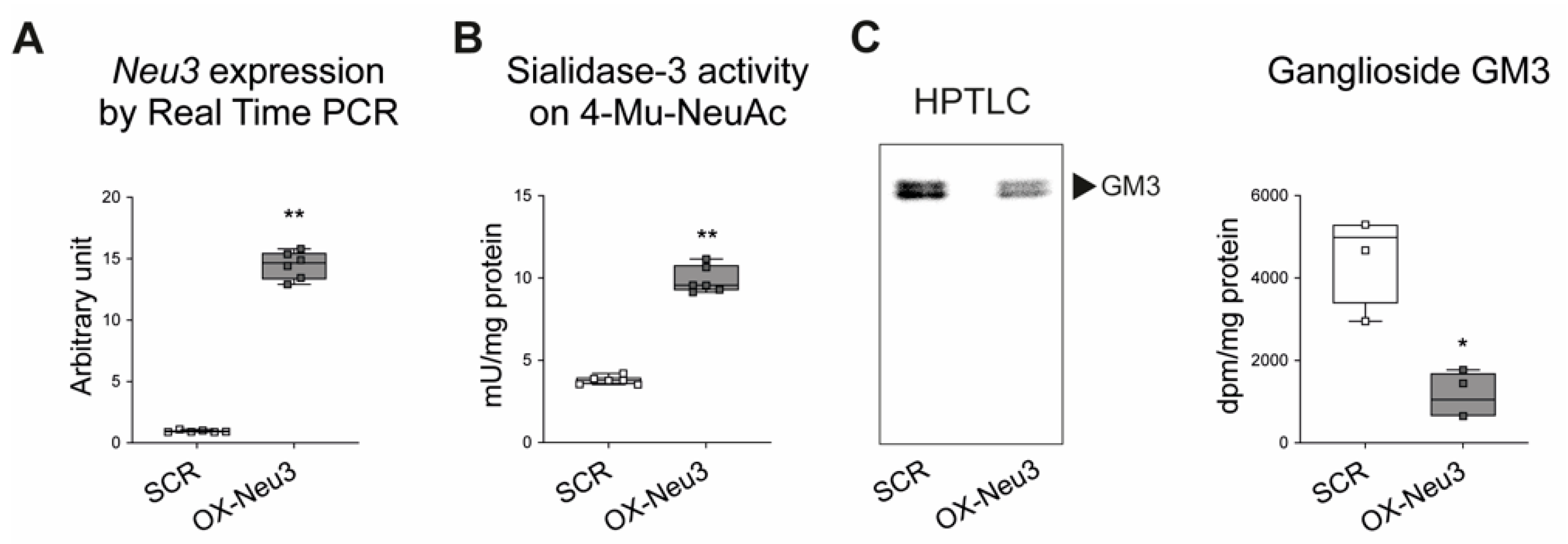 Ijms 23 06090 g004 550