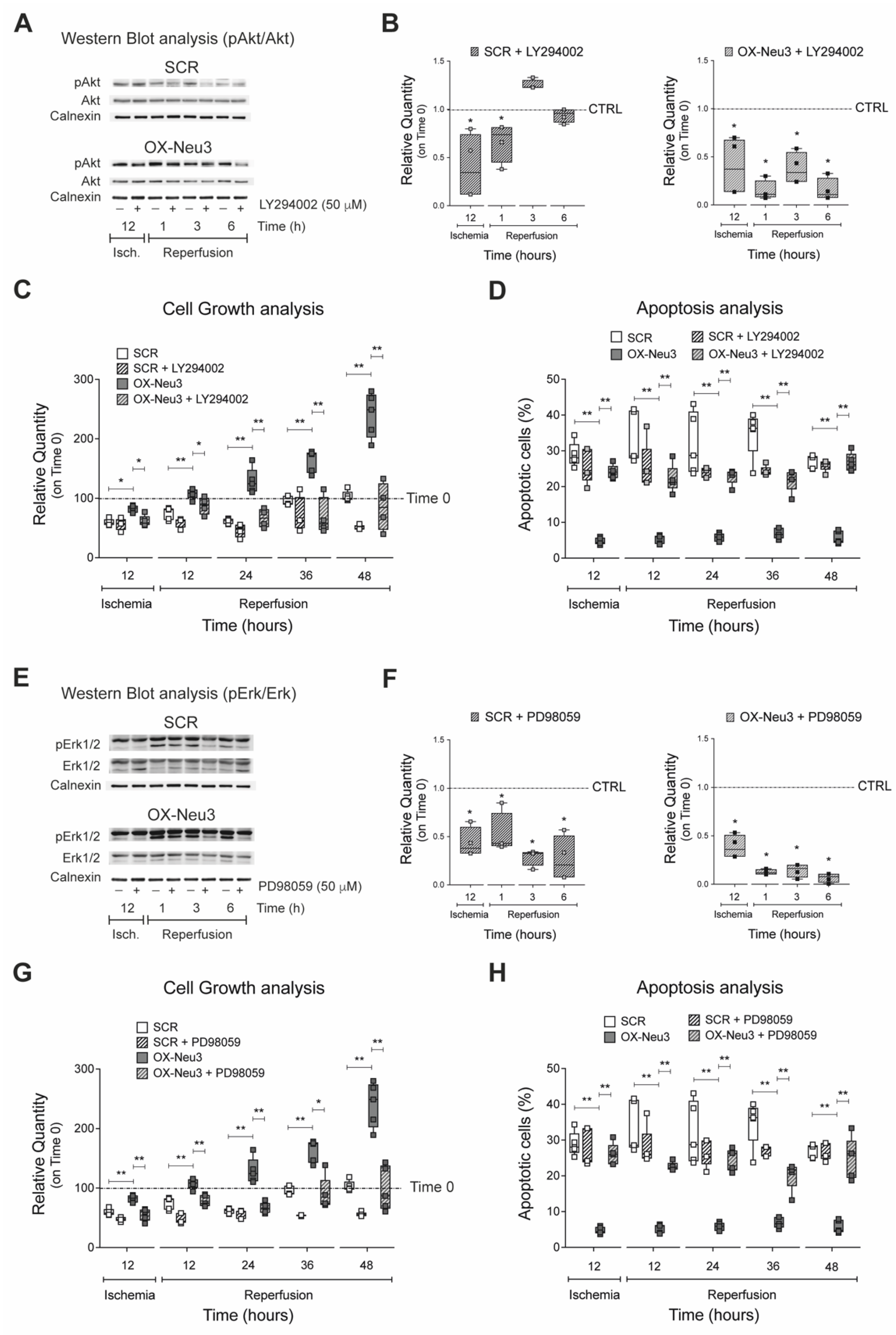 Ijms 23 06090 g008 550