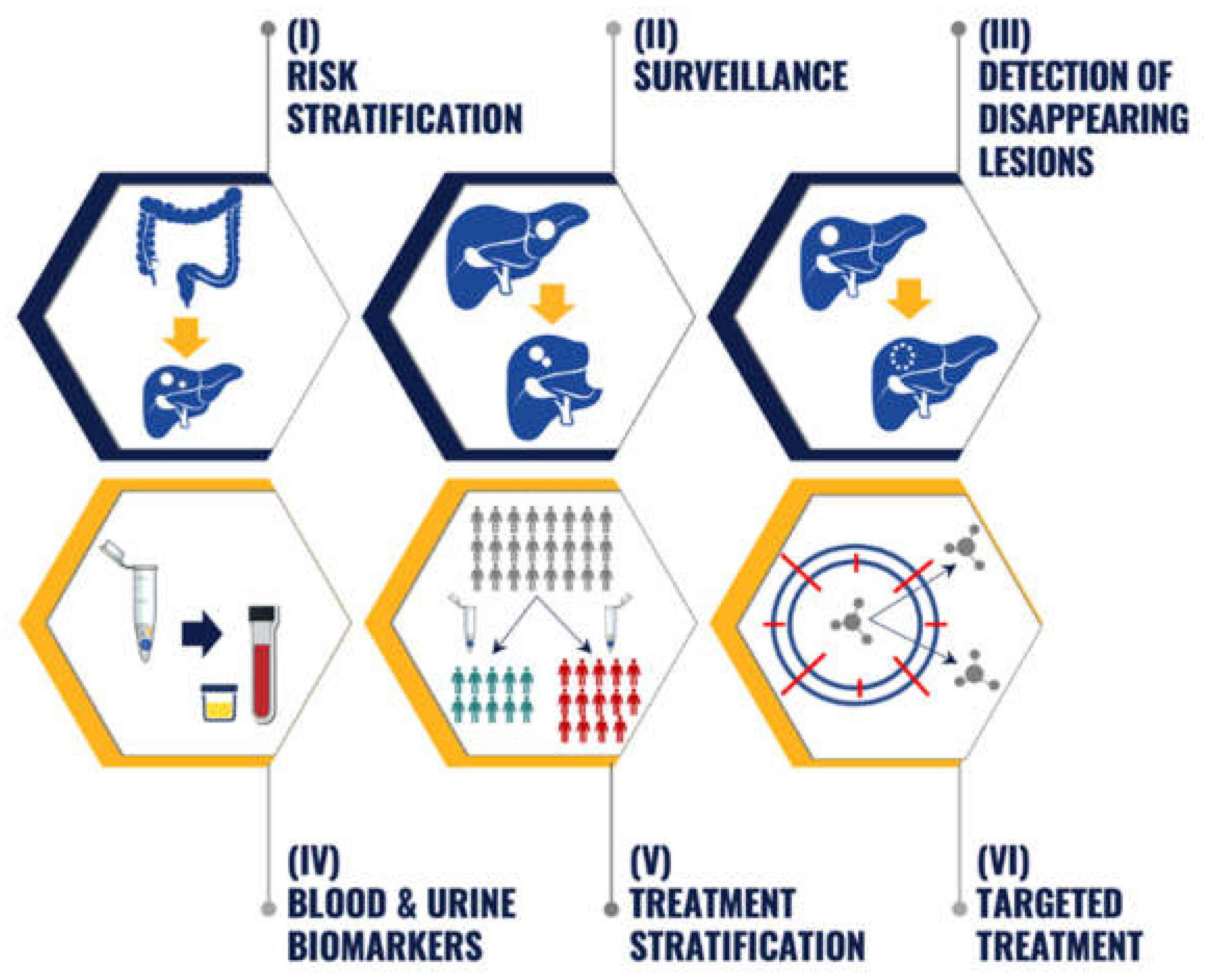 Ijms 23 06091 g001 550