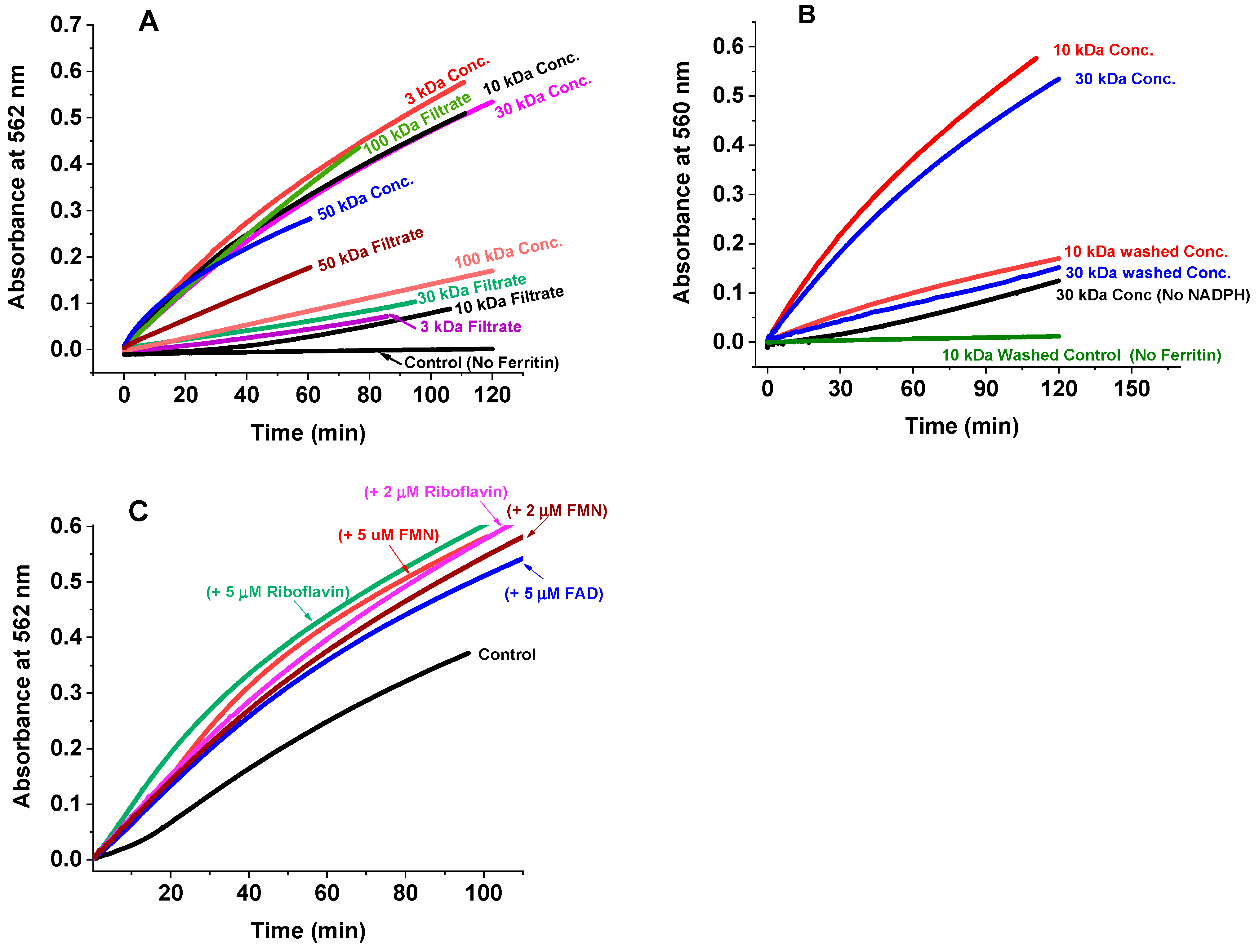 Ijms 23 06100 g002 550
