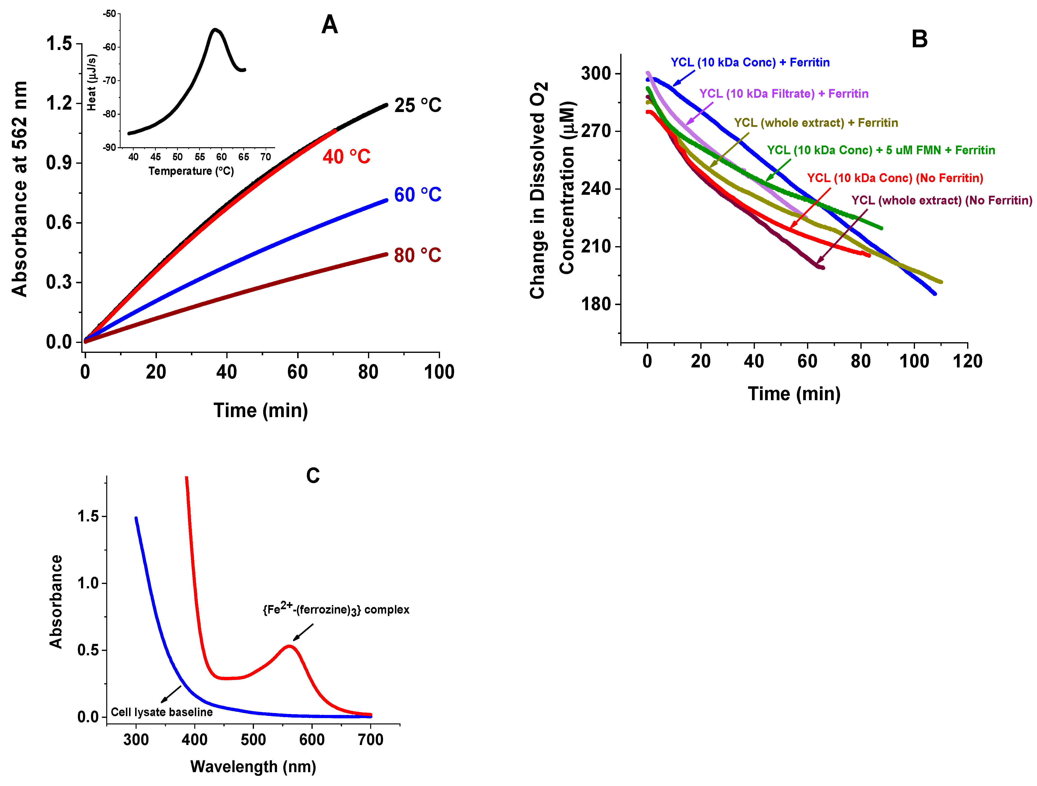 Ijms 23 06100 g003 550