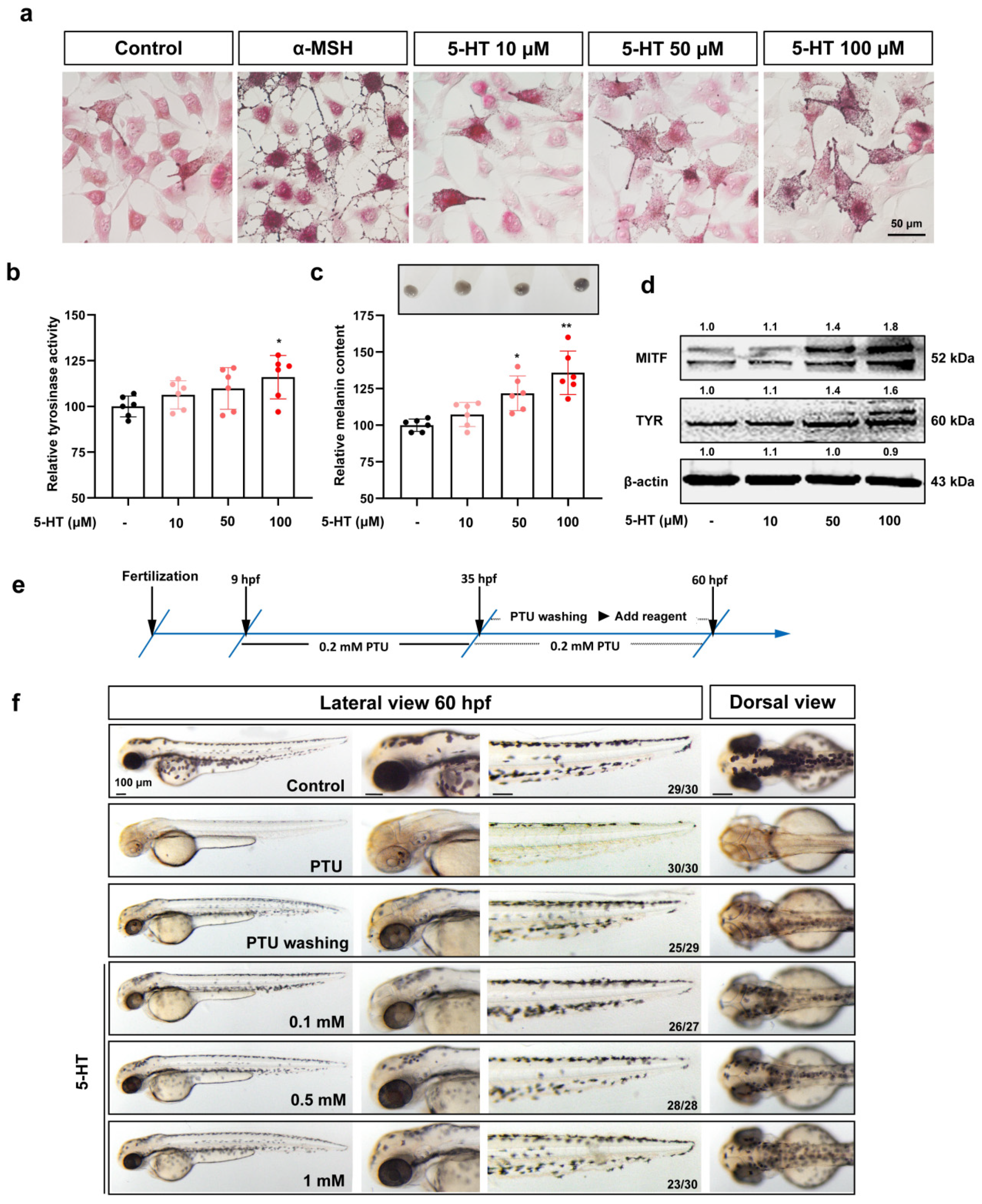 Ijms 23 06111 g001 550