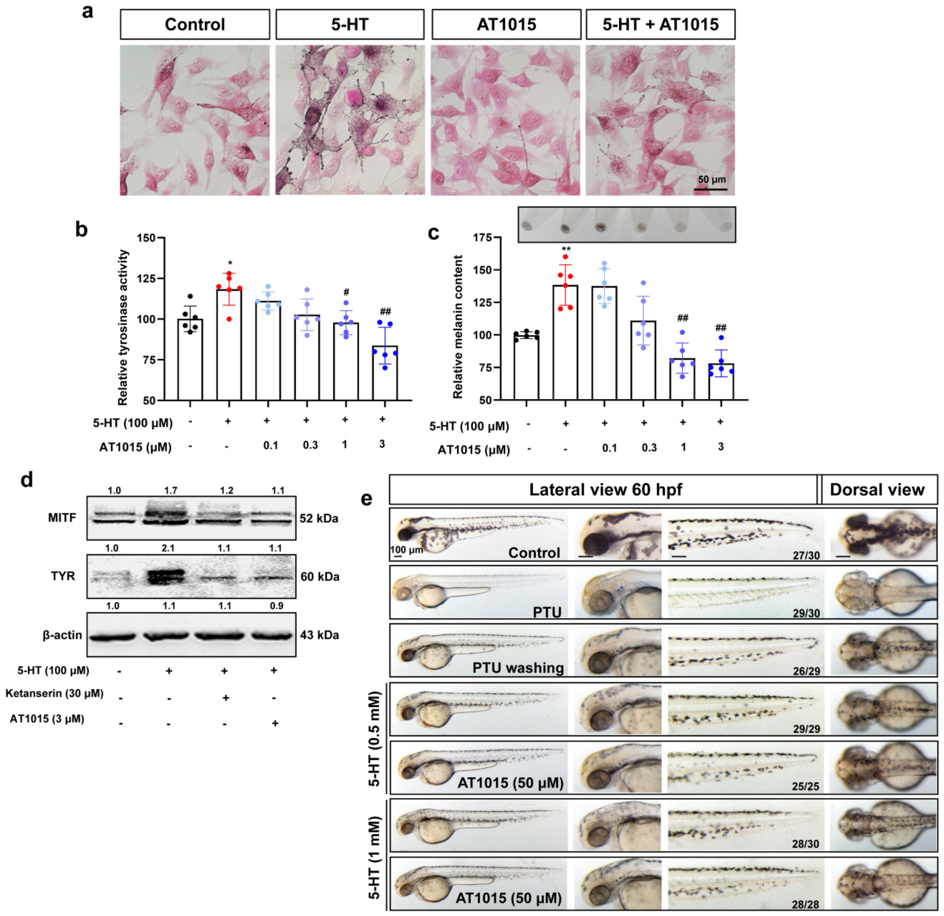 Ijms 23 06111 g002 550