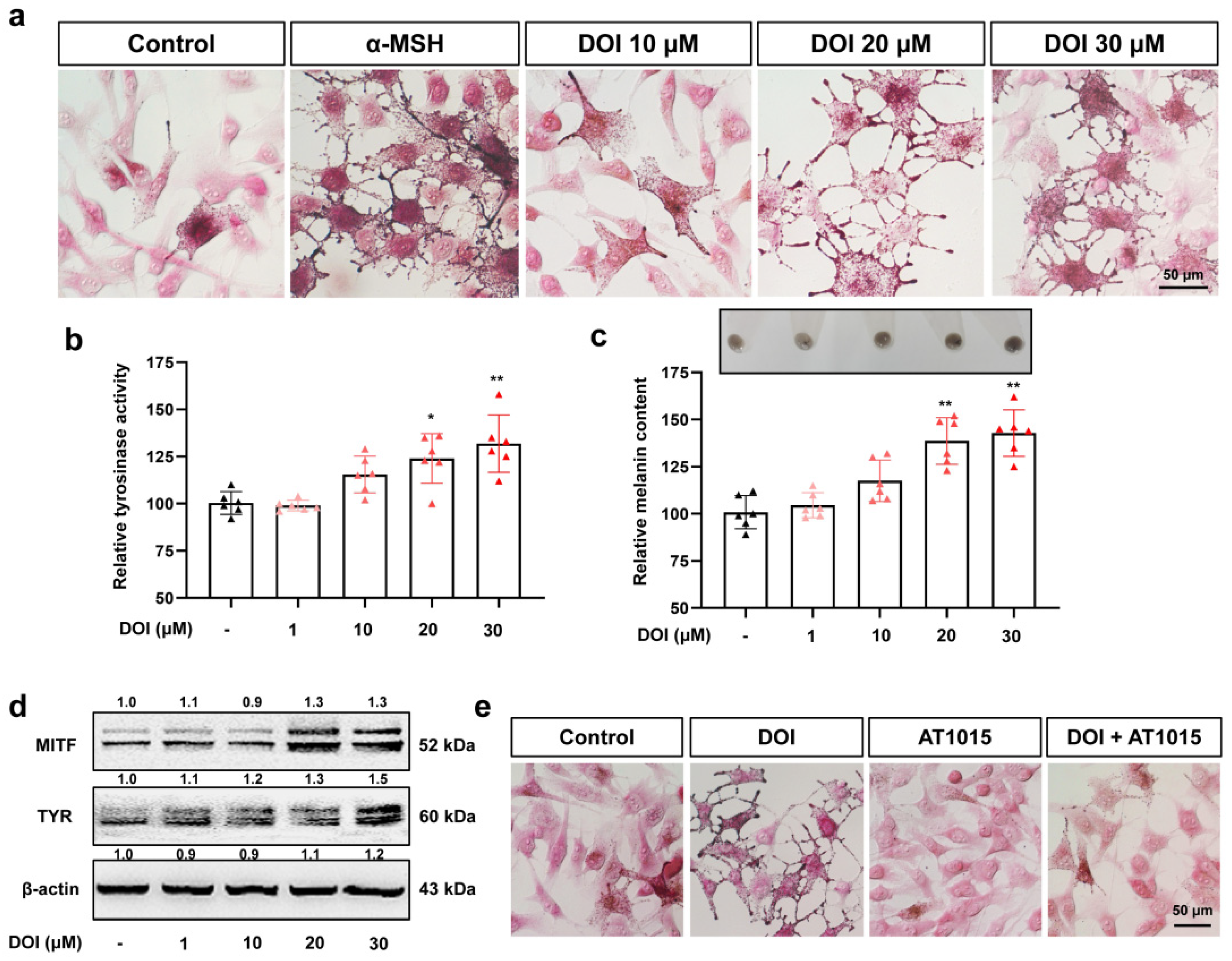 Ijms 23 06111 g003 550