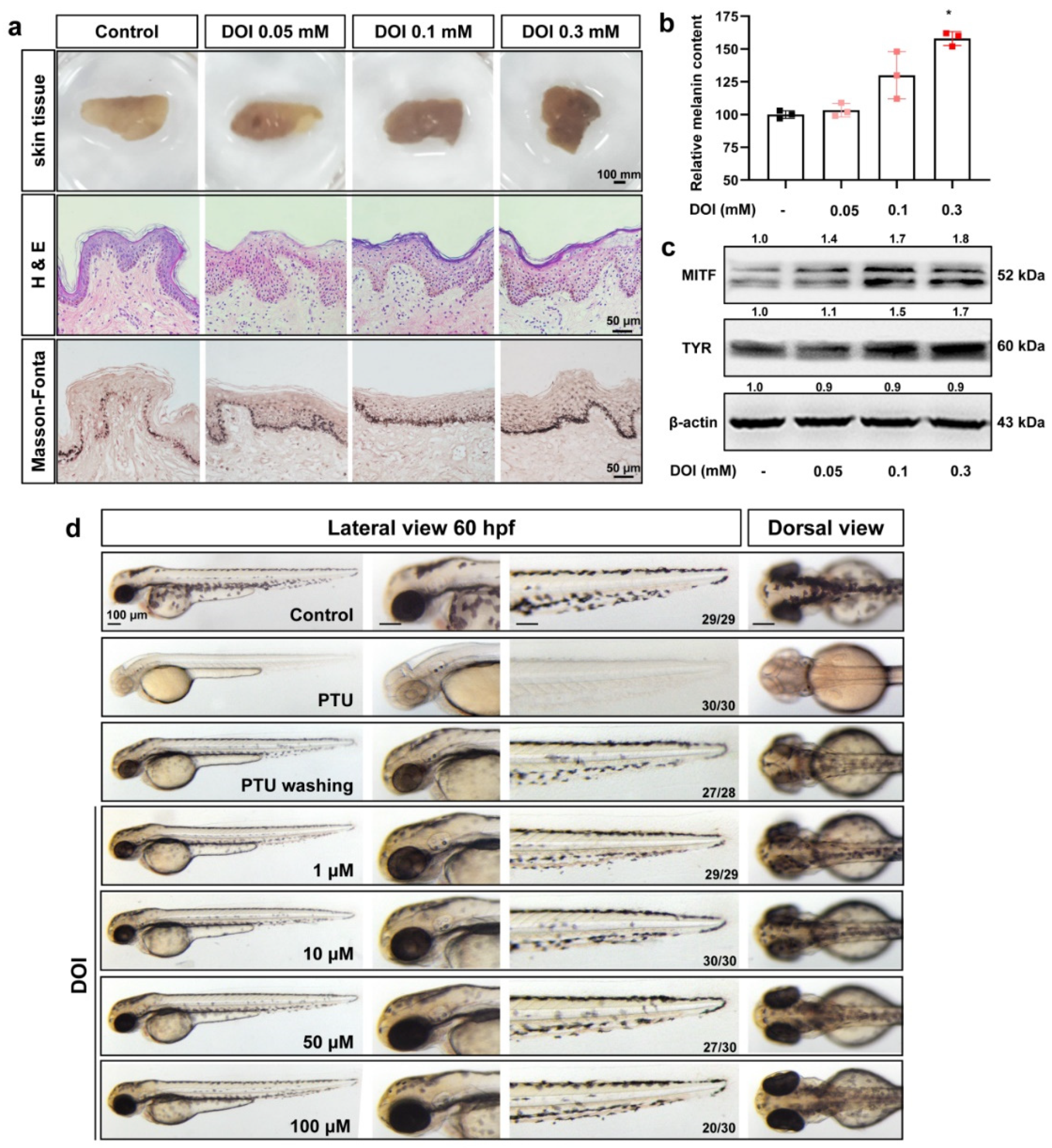 Ijms 23 06111 g004 550