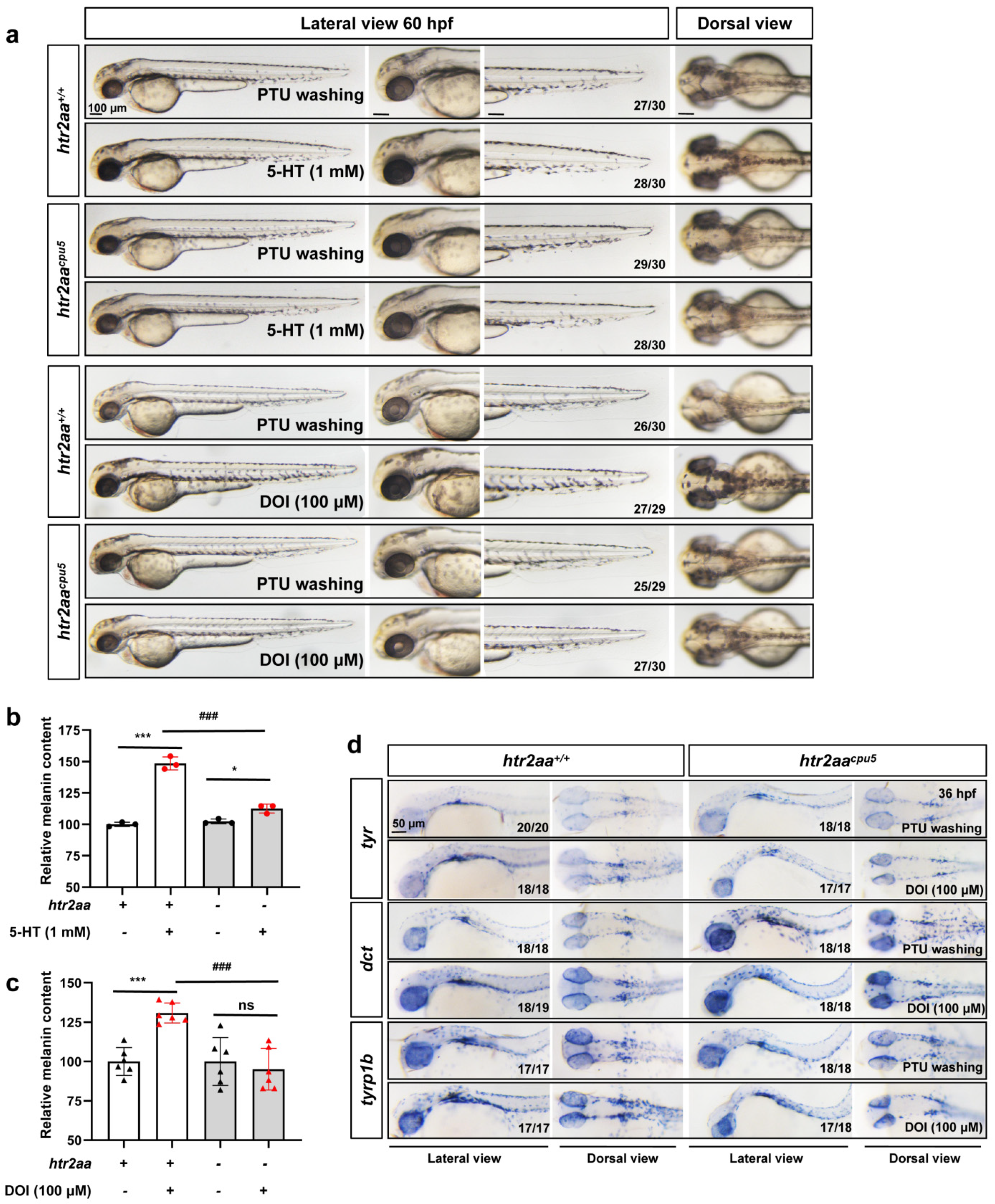 Ijms 23 06111 g005 550