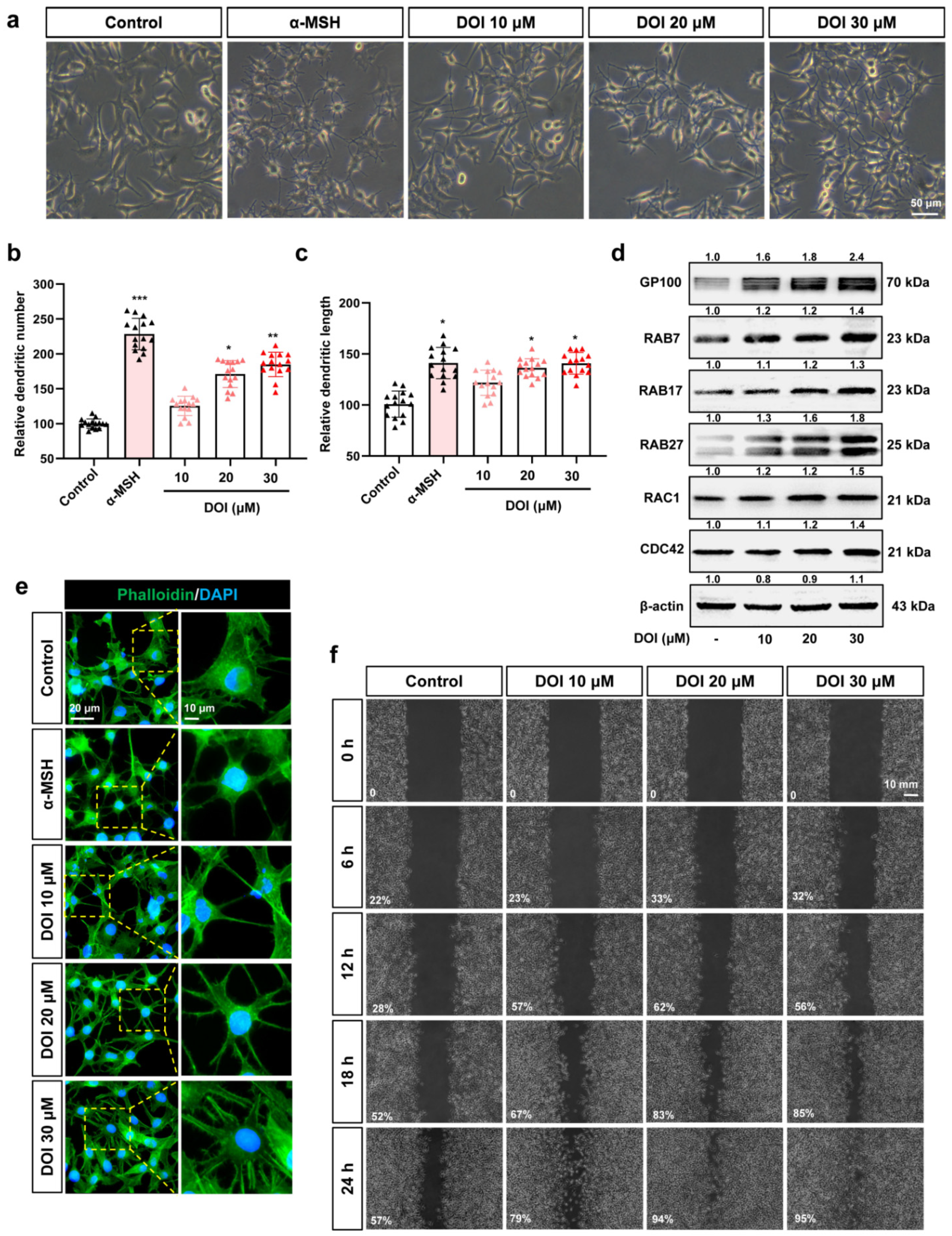 Ijms 23 06111 g006 550