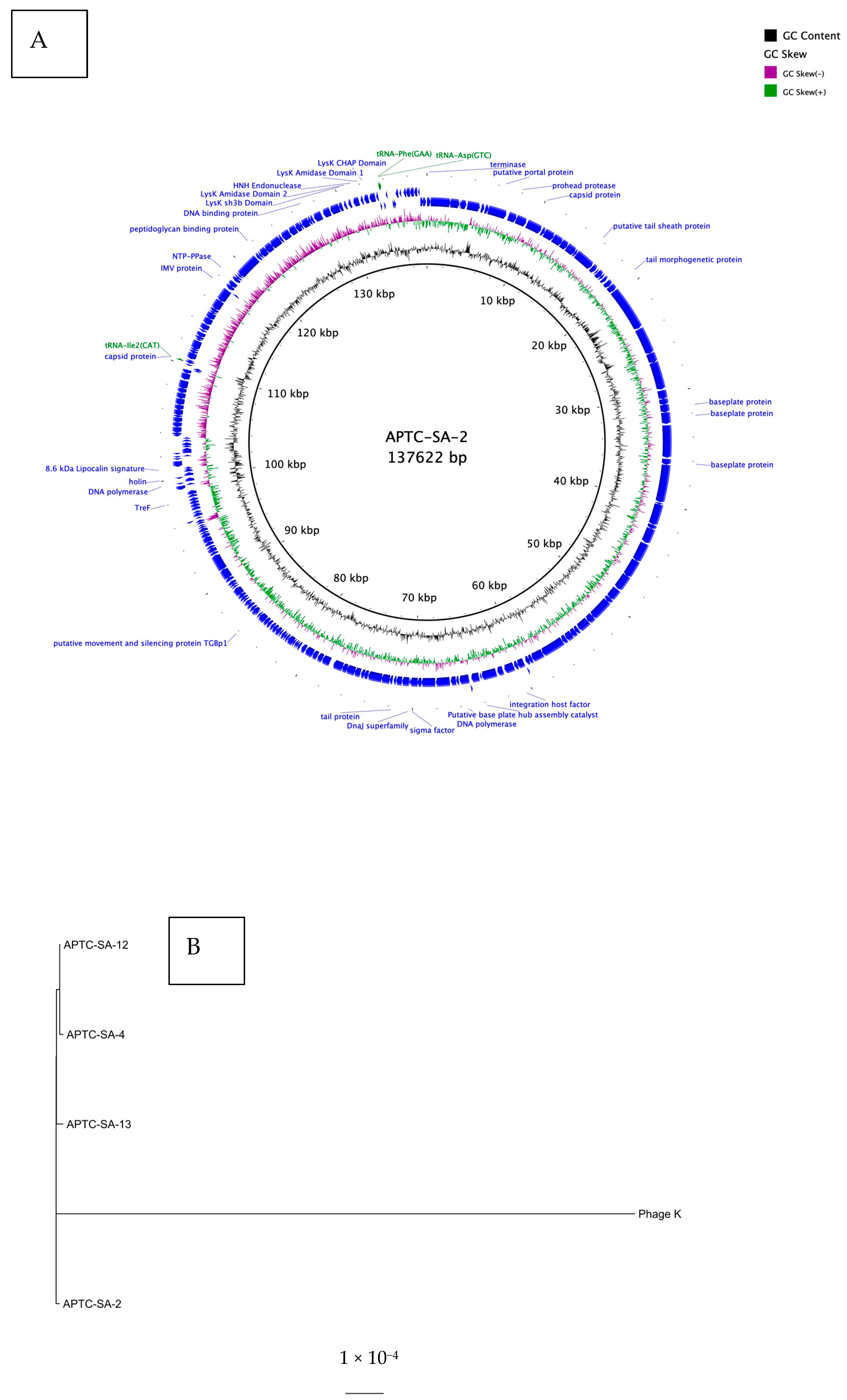 Ijms 23 06116 g006 Ijms 23 06116 g006