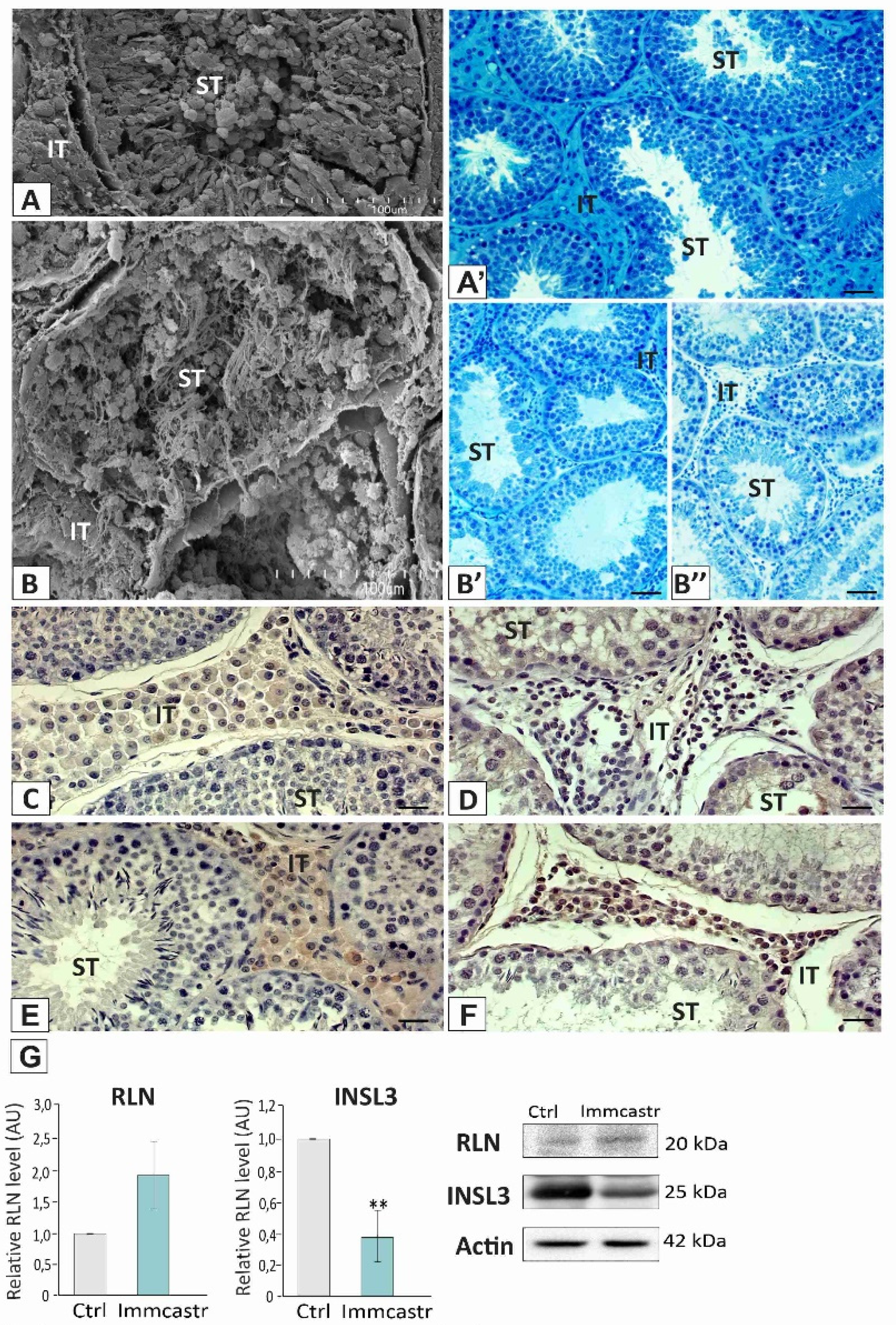 Ijms 23 06120 g001 Ijms 23 06120 g001