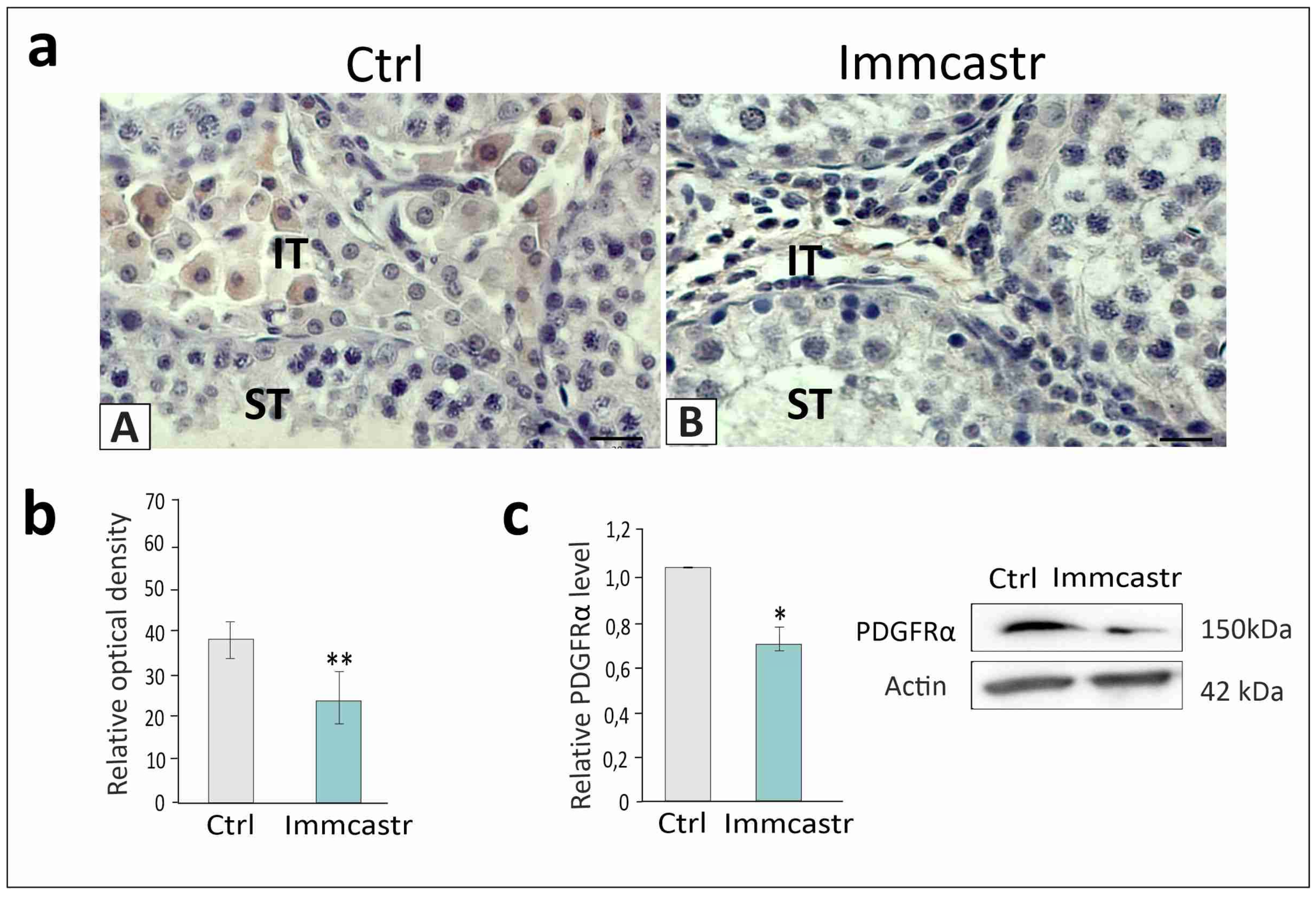 Ijms 23 06120 g002 Ijms 23 06120 g002