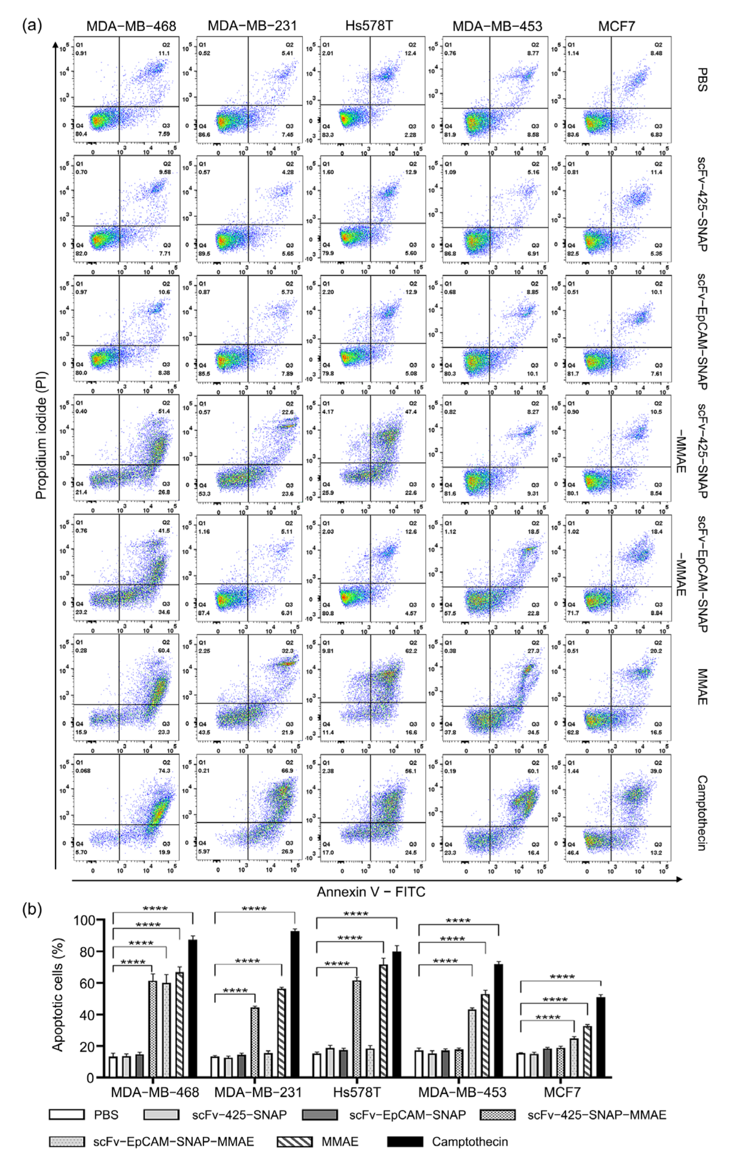 Ijms 23 06122 g004 Ijms 23 06122 g004
