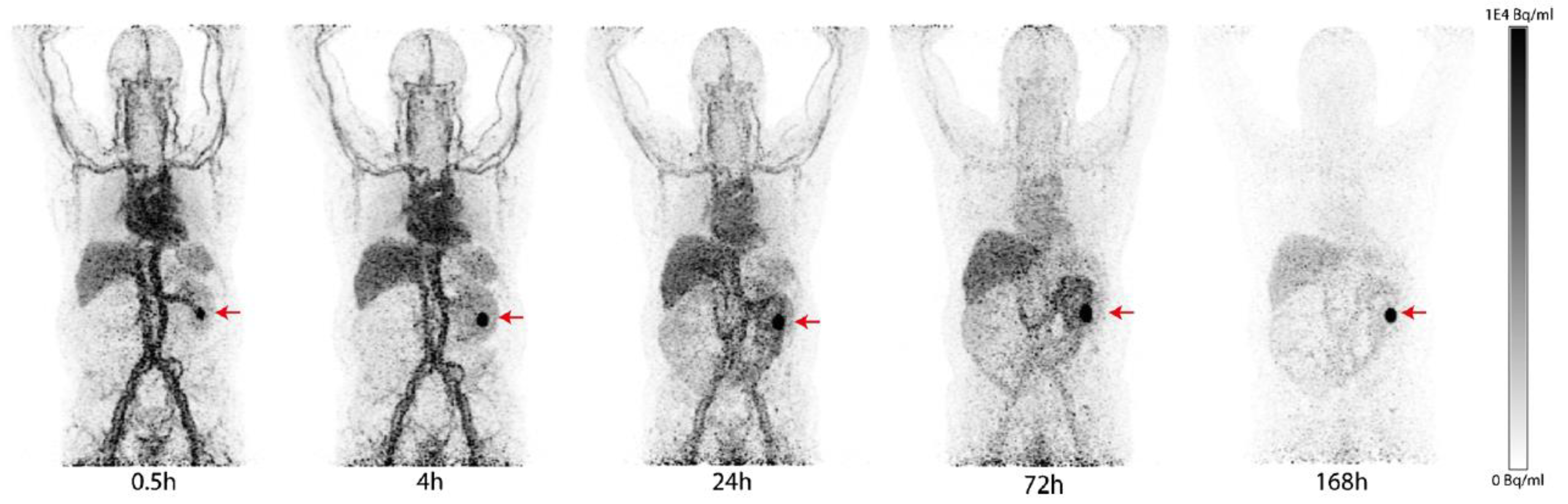 Ijms 23 06125 g001 550