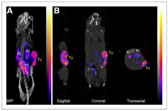 New Developments in Carbonic Anhydrase IX-Targeted