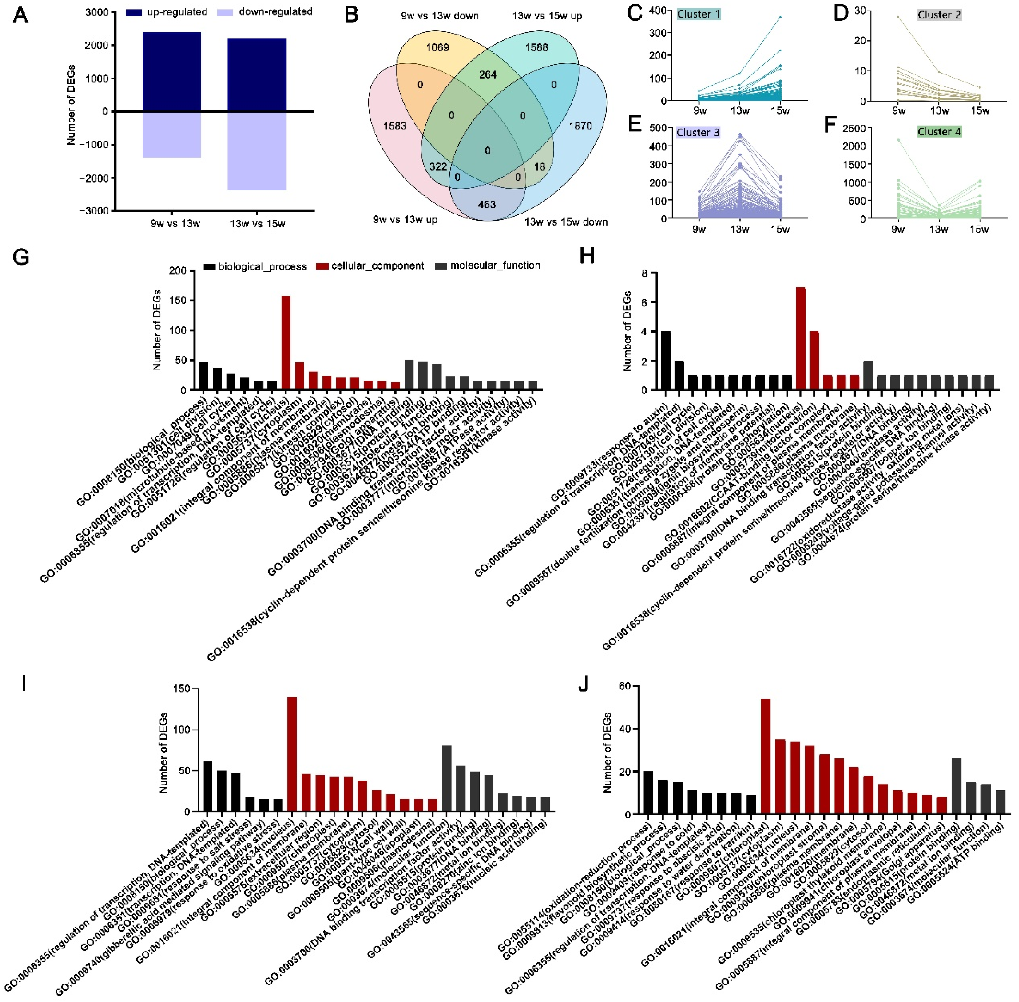 Ijms 23 06126 g002 550