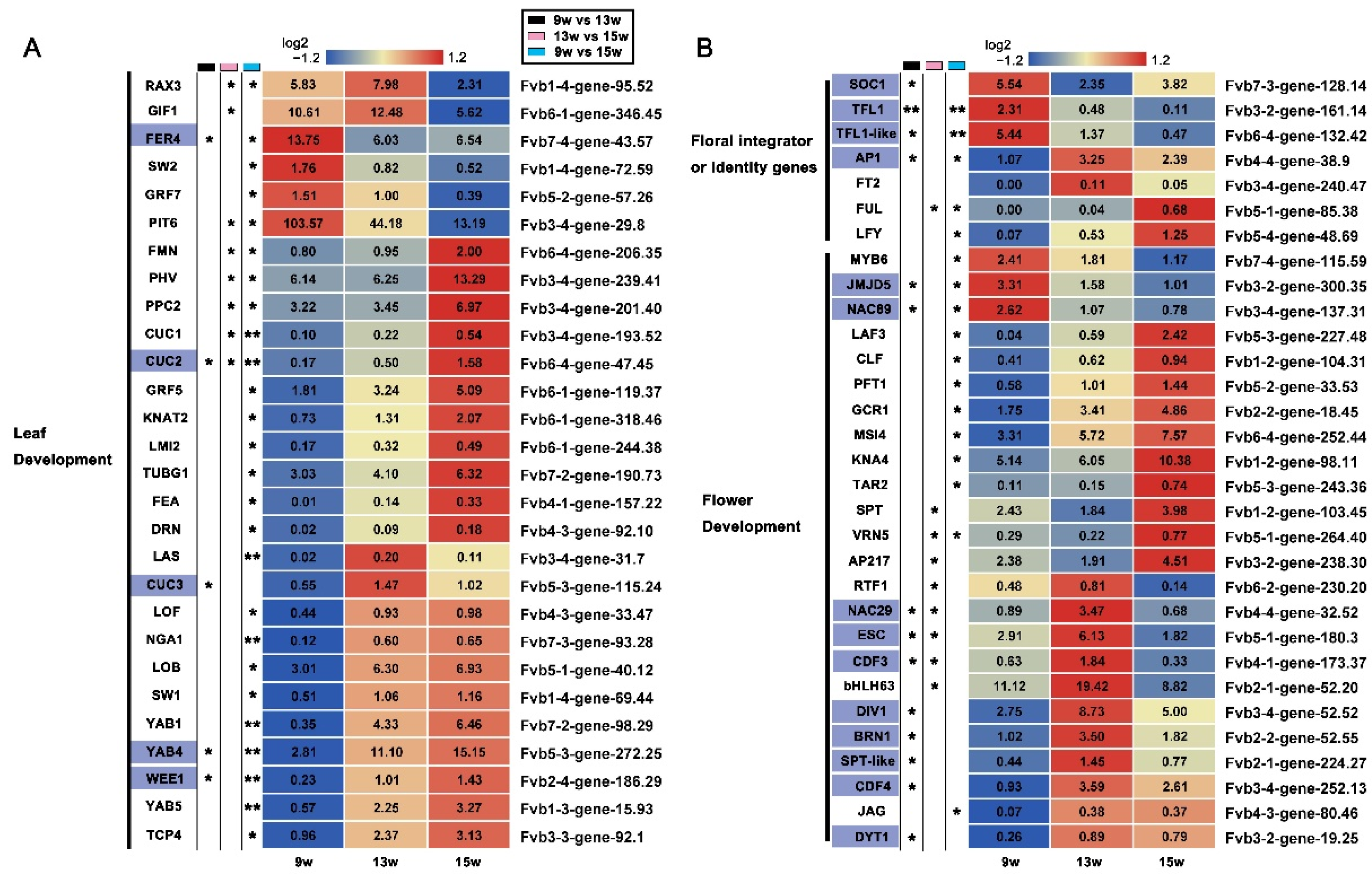 Ijms 23 06126 g004 550