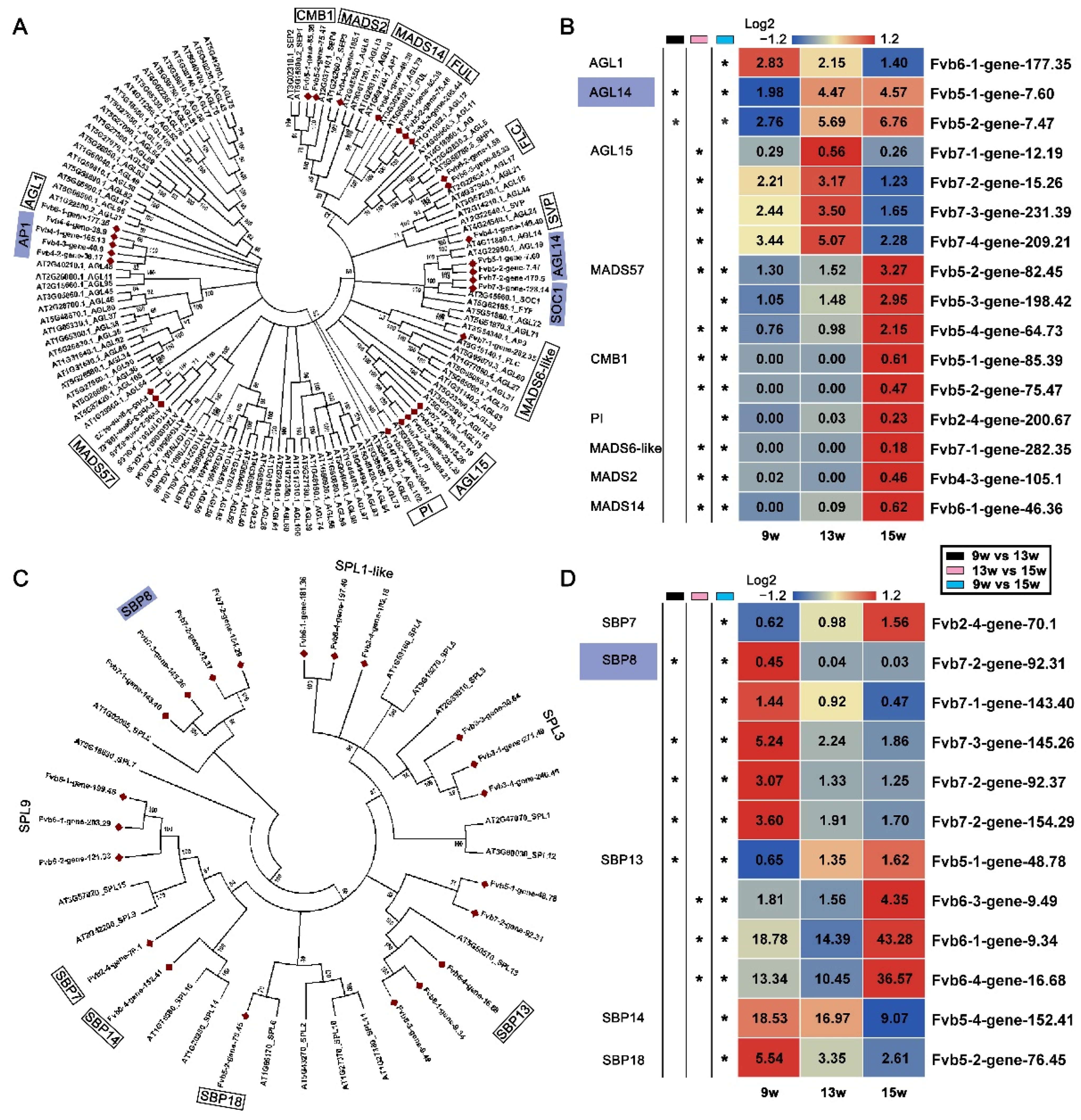 Ijms 23 06126 g005 550