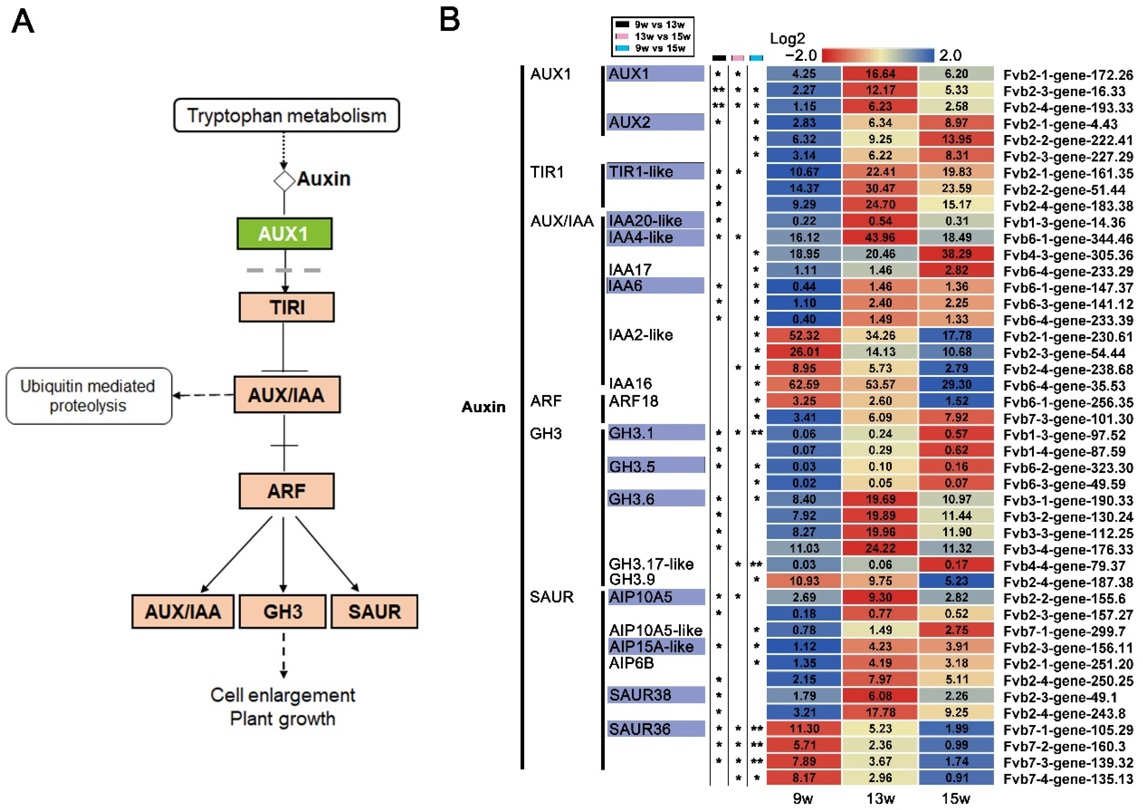 Ijms 23 06126 g007 550