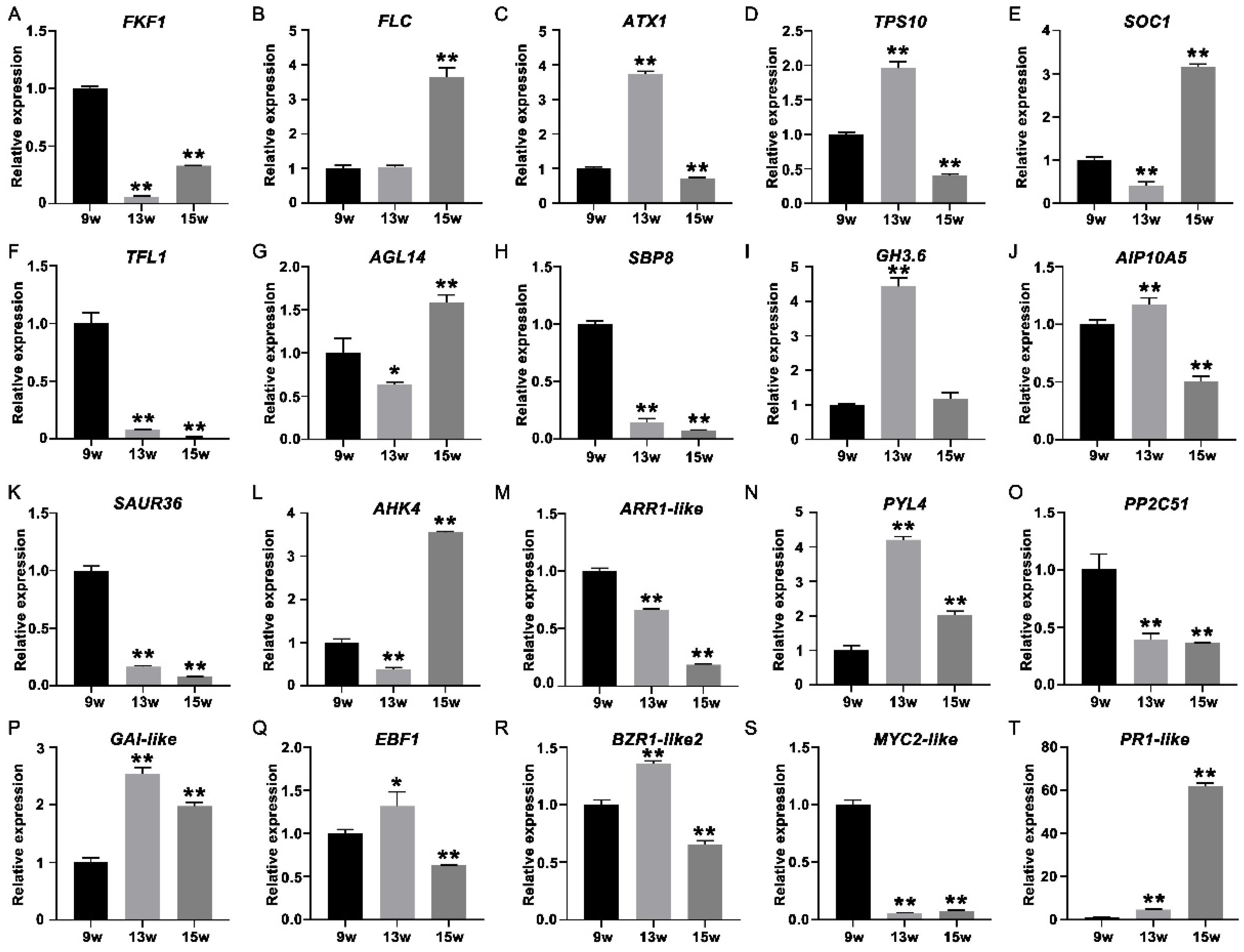 Ijms 23 06126 g010 550