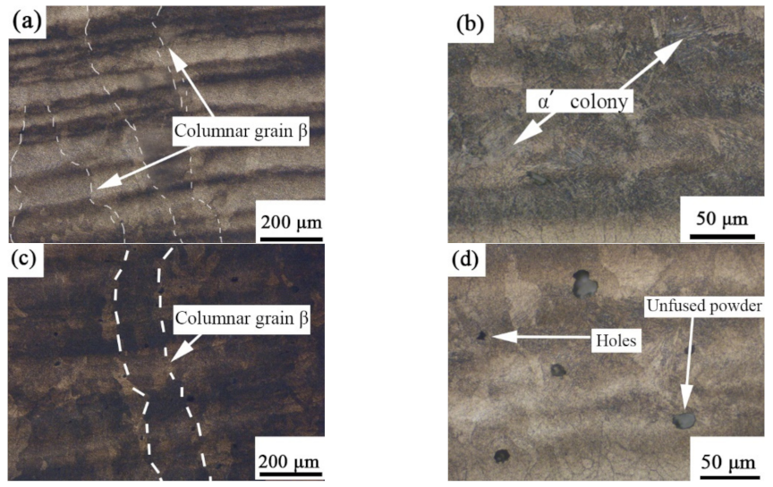 Ijms 23 06134 g003 550