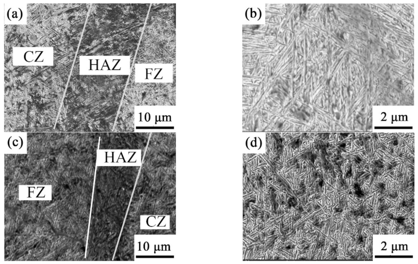 Ijms 23 06134 g004 550