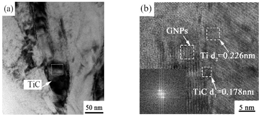 Ijms 23 06134 g008 550