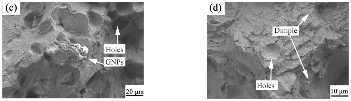 Ijms 23 06134 g010b 550