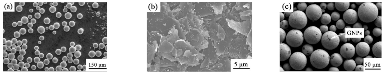 Ijms 23 06134 g011 550