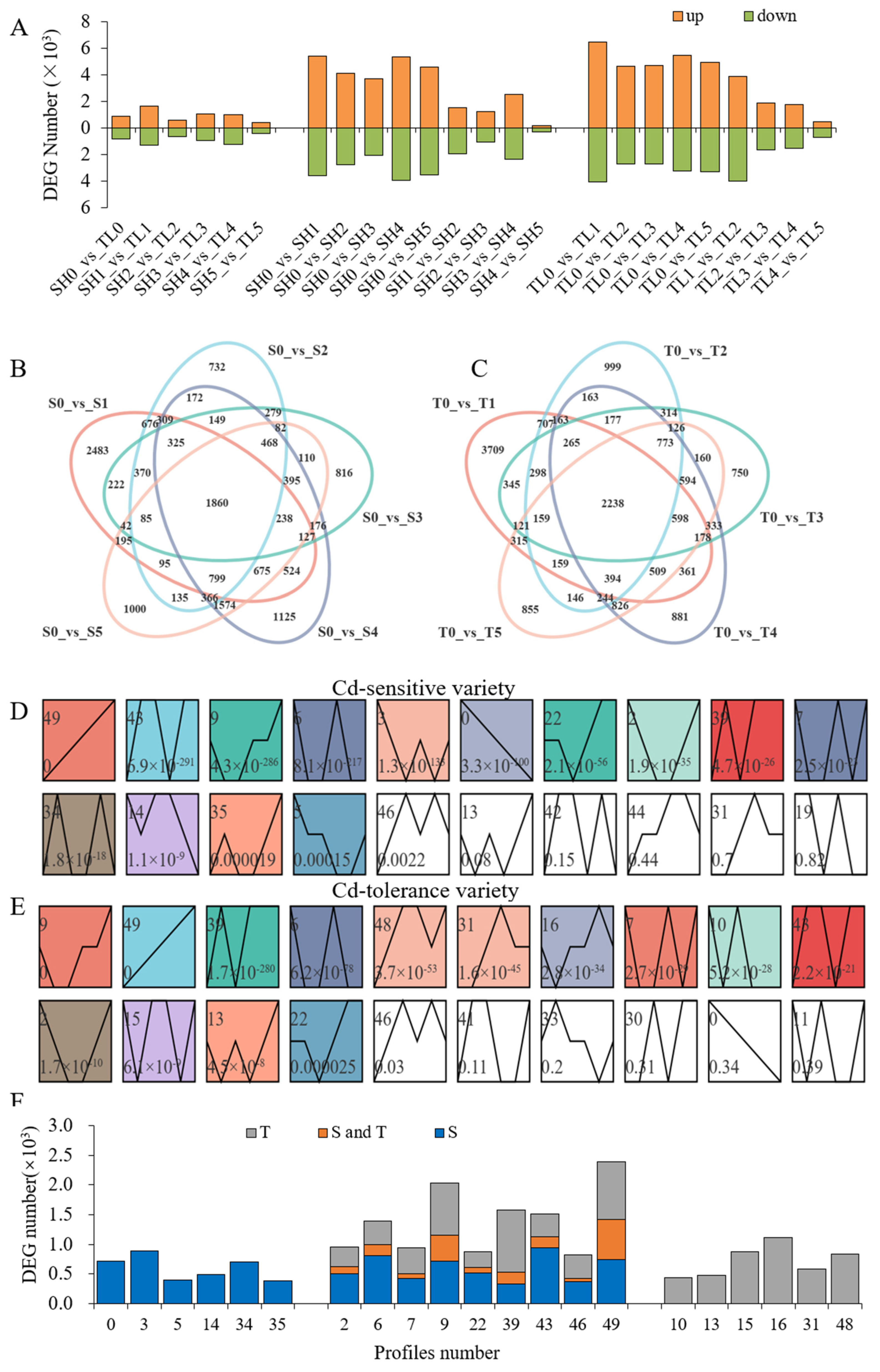 Ijms 23 06148 g004 550