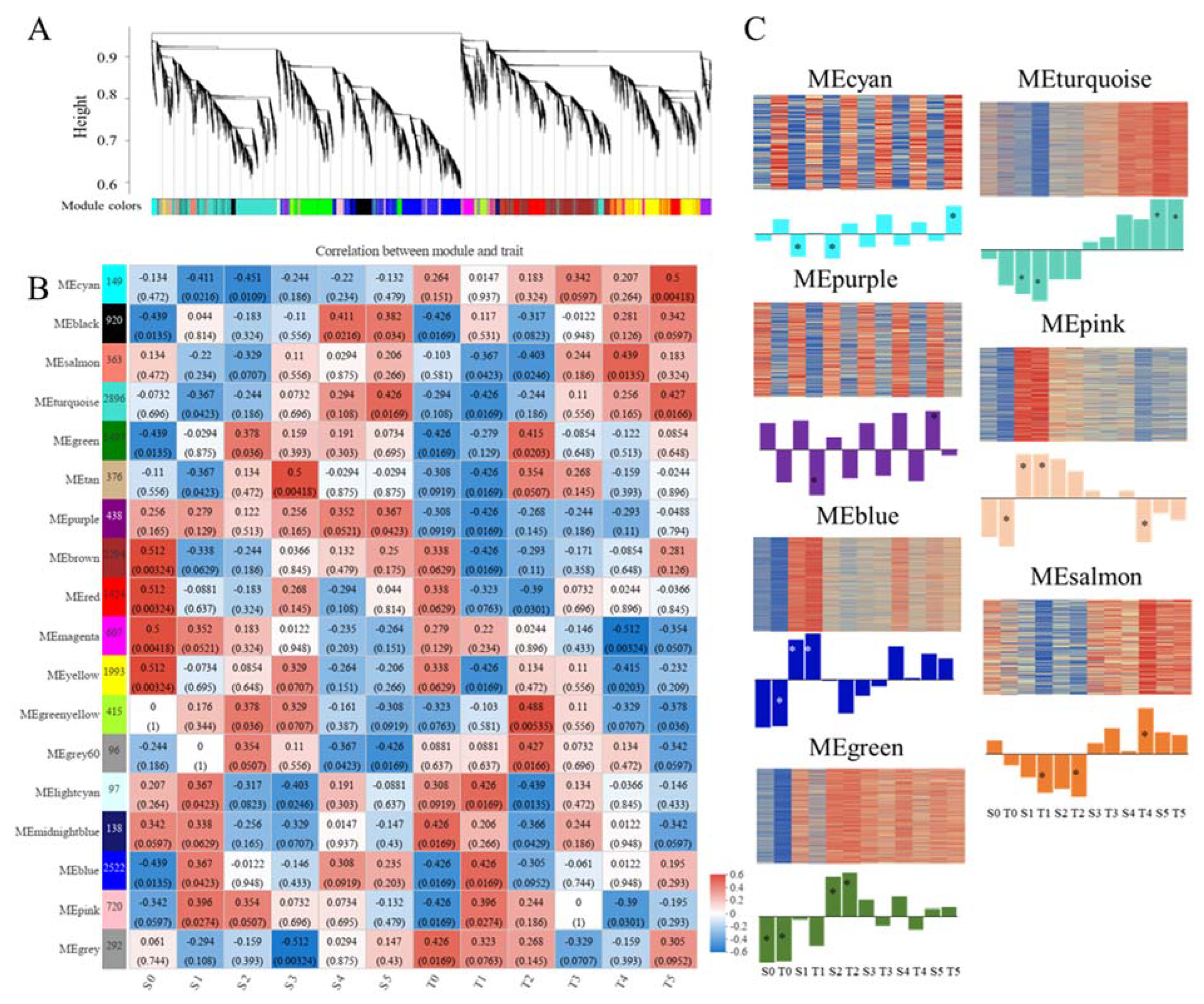 Ijms 23 06148 g005 550