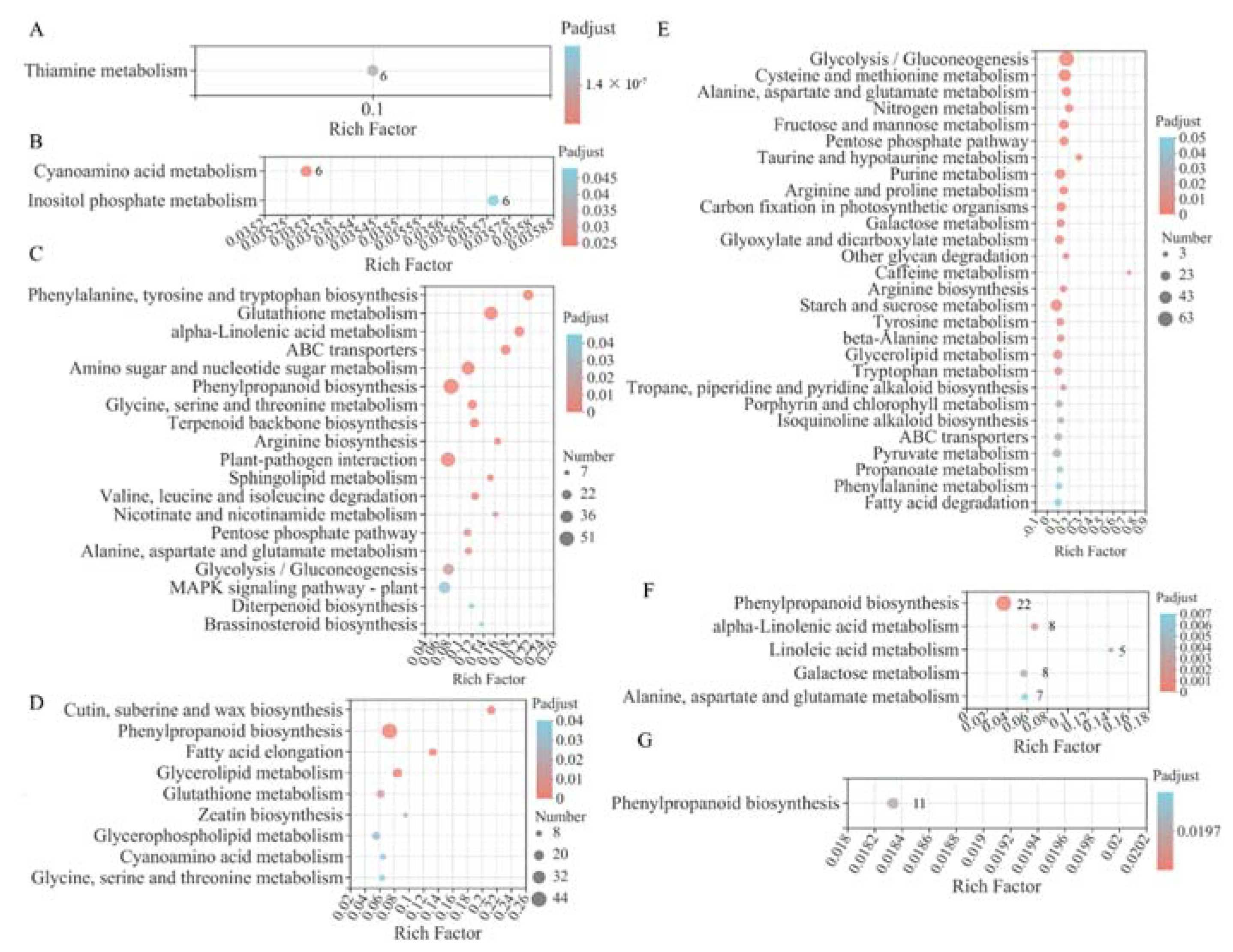 Ijms 23 06148 g006 550
