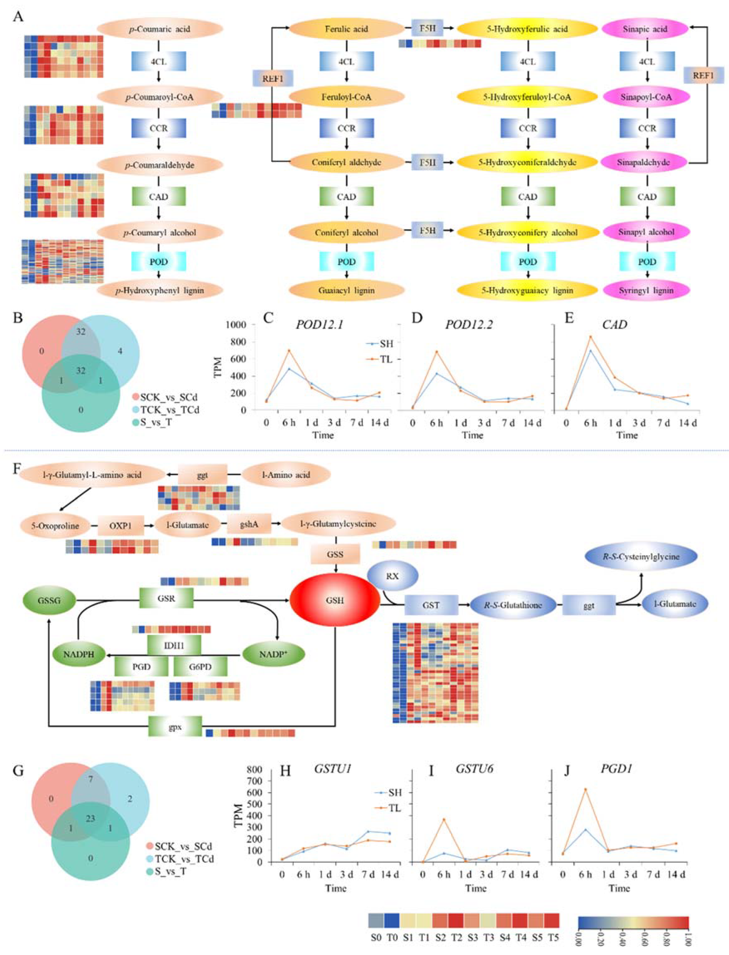Ijms 23 06148 g007 550
